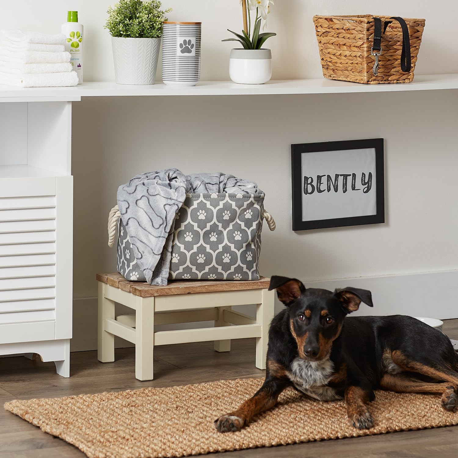 Bone Dry Pet Storage Collection Lattice Paw Print, Gray, Small Rectangle