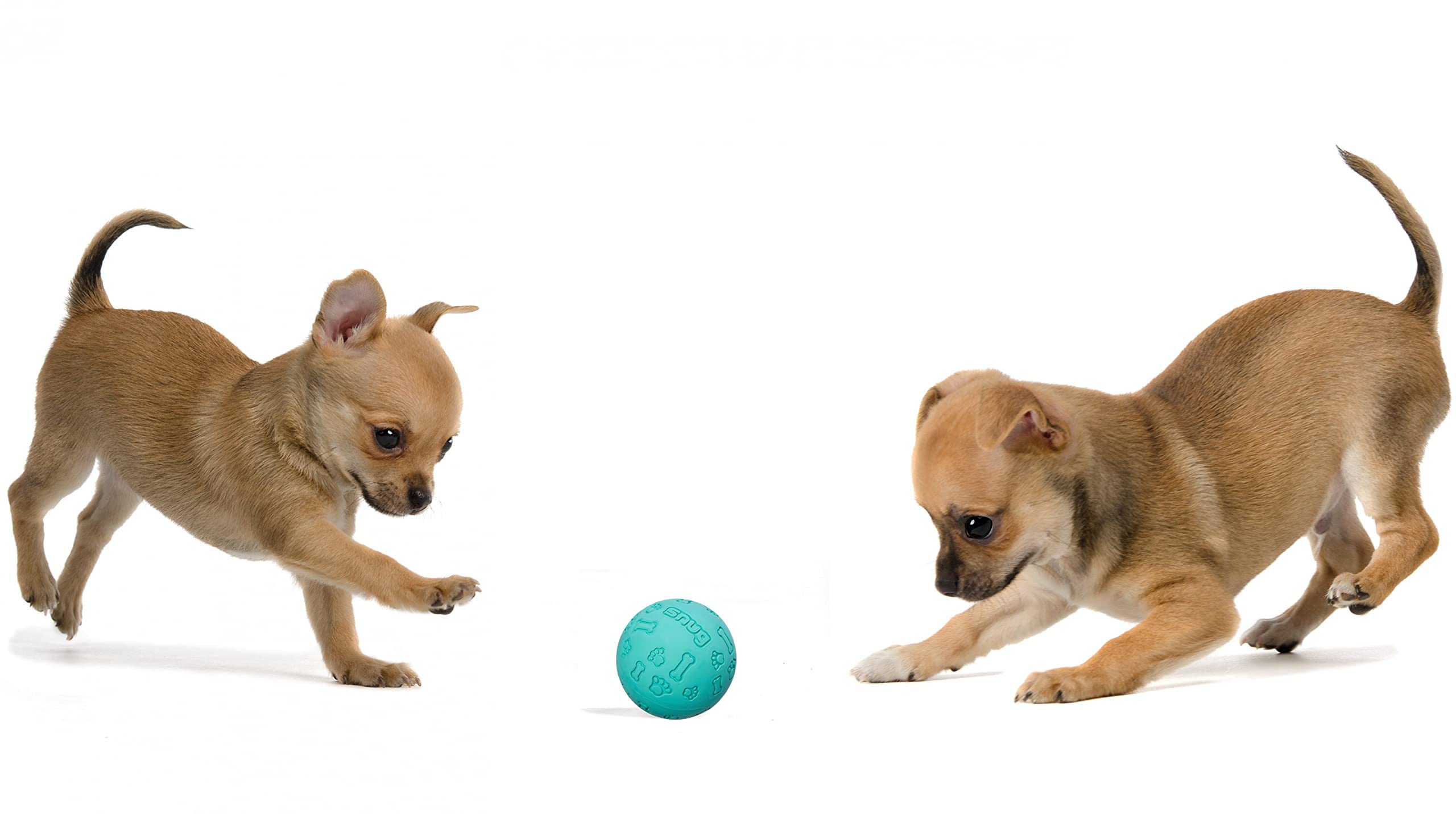 Snug Rubber Dog Balls - Indestructible Tennis Balls for Small & Medium Dogs - Aqua - 3 Pack - Model SNDBAQUA