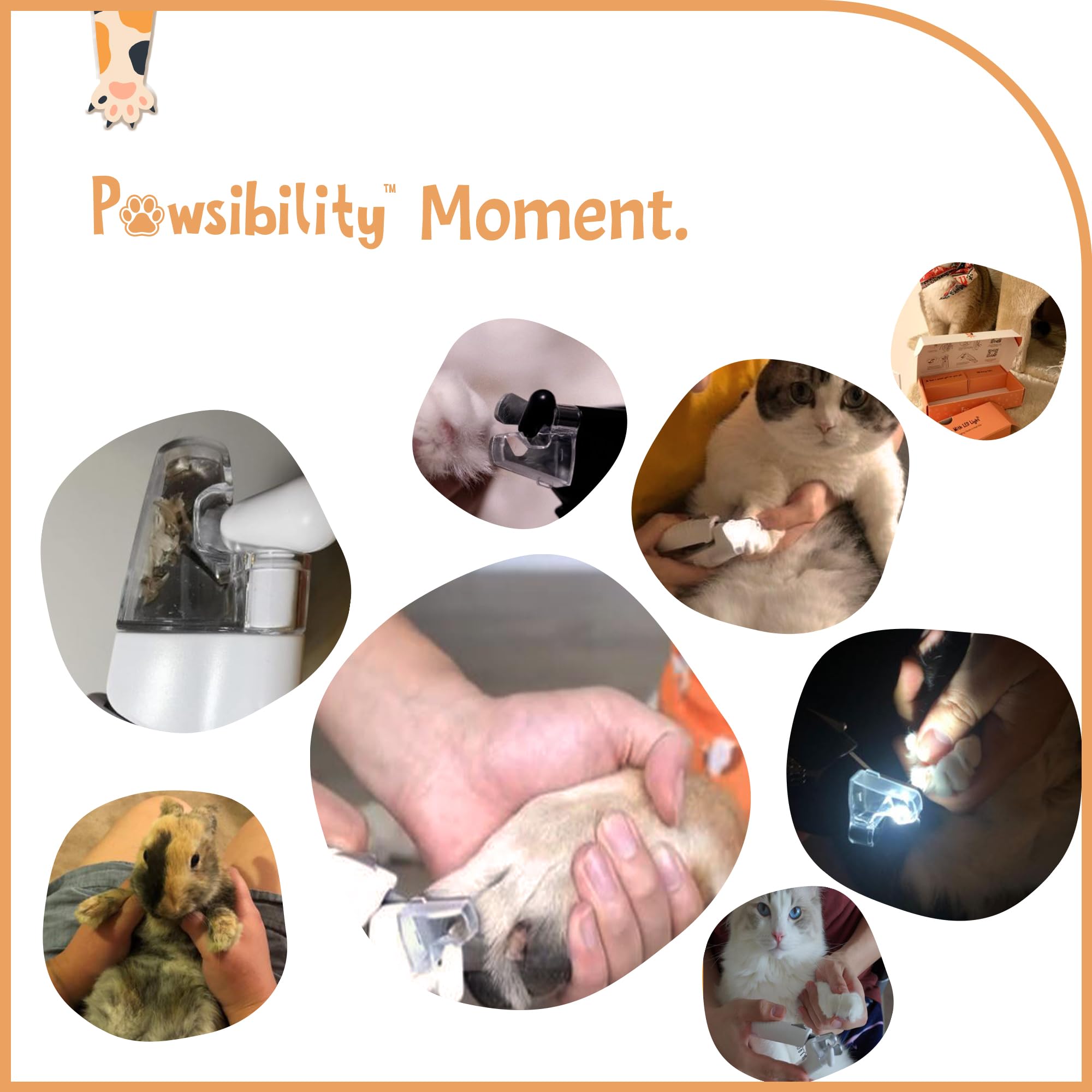Pawsibility - Reinvented Pet Nail Clippers For Your Pal - Usb Rechargeable Led Light For Bloodline | Razor Sharp And Durable Bla