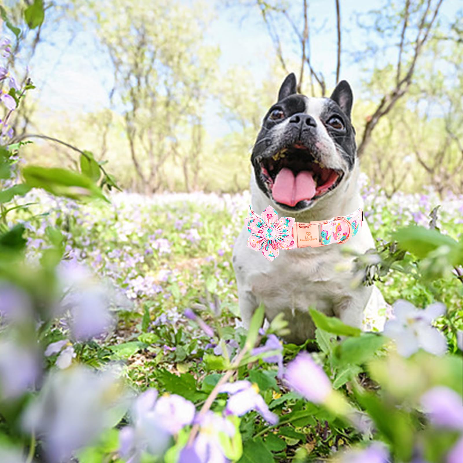 Lionheart Glory Dog Collar With Flower Dinosaurs Print Collars For Large Dogs, Spring Summer Cute Duty Adjustable Dog Flowers Co