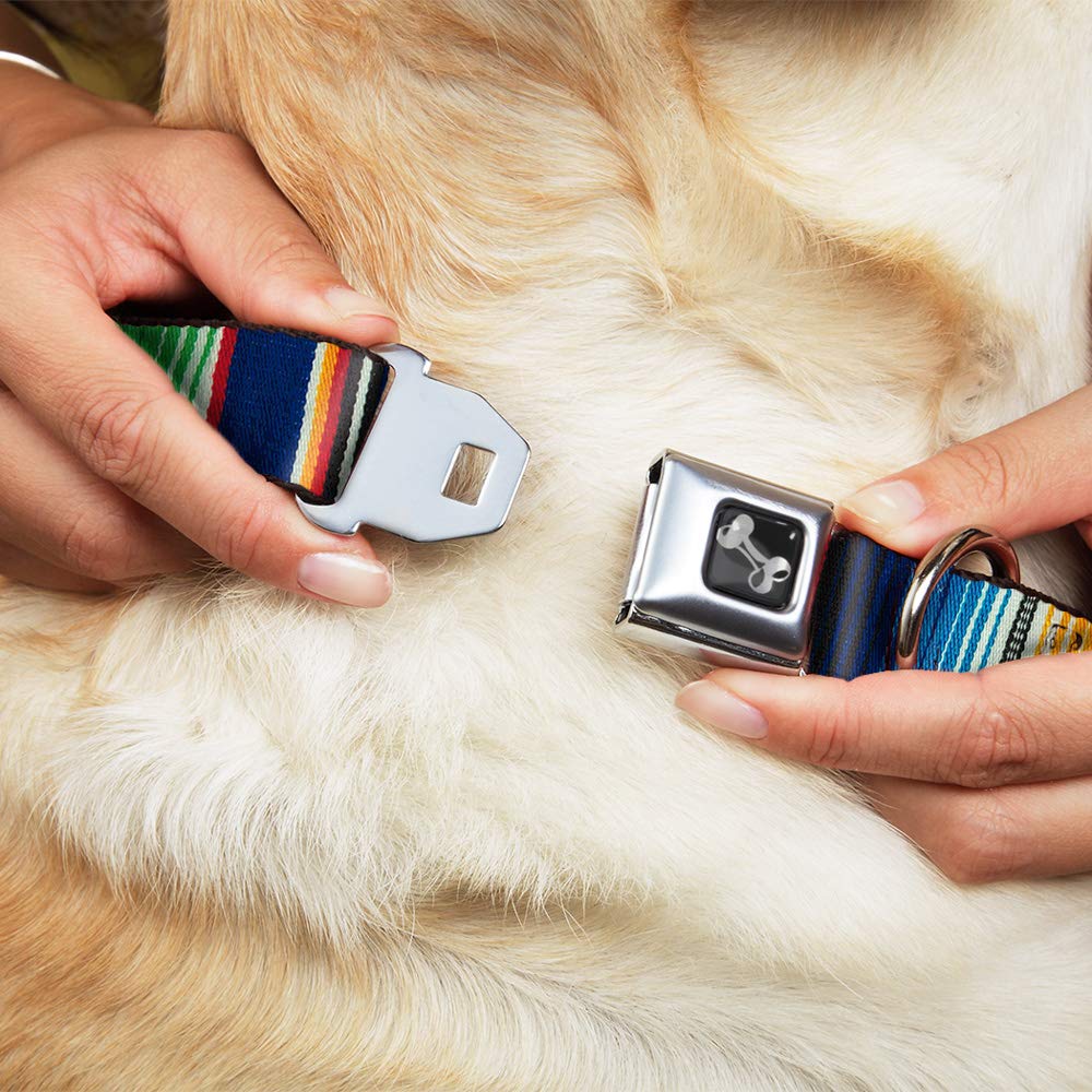 Buckle-Down Dog Collar - Seatbelt Buckle, 1" Wide, Fits 15-26" Neck, Multi Color Stripe, Model DC-W32624-L