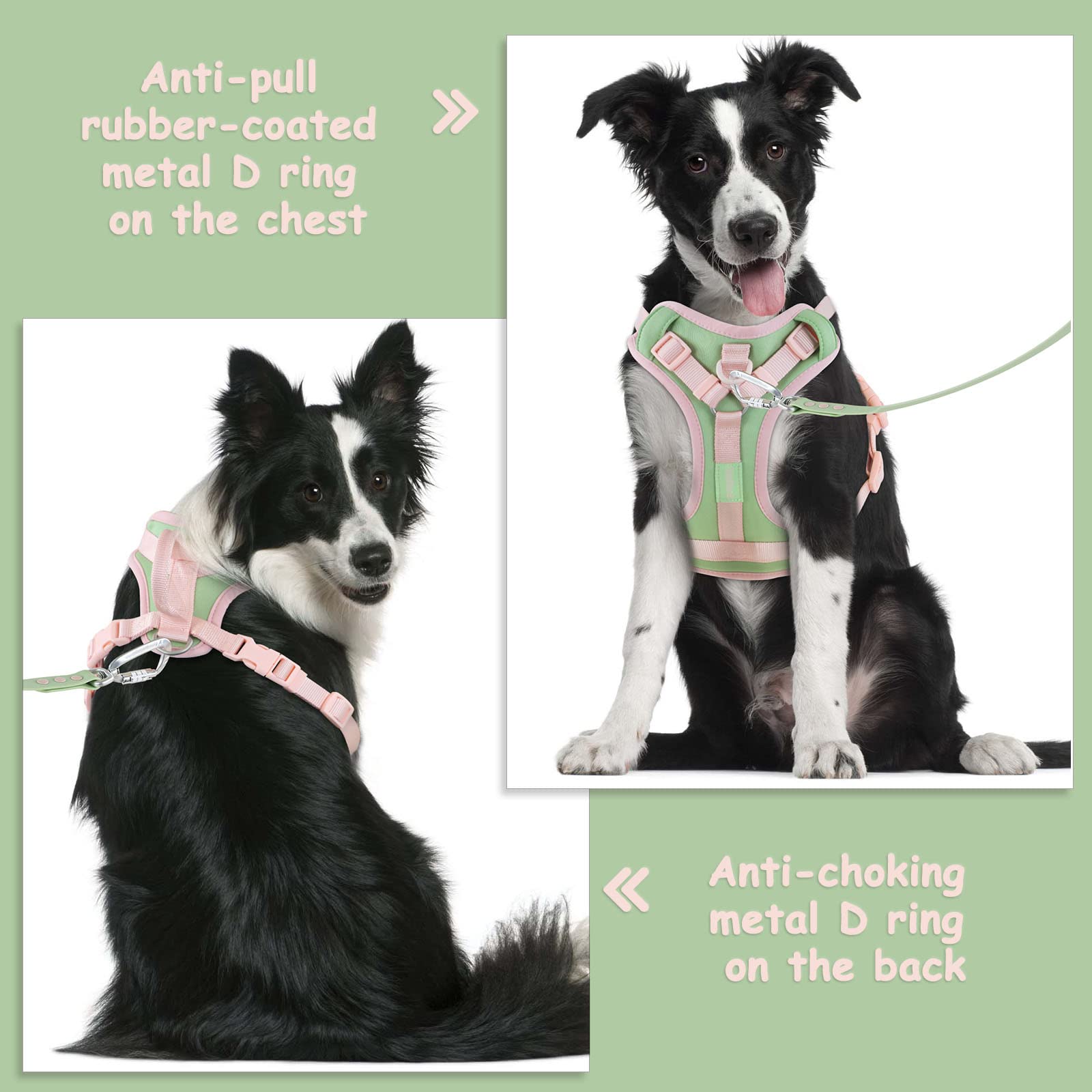 Wolfone No Pull Dog Harness Adjustable Soft Padded Pet Vest With Control Handle Adorable Daily Harness For Dogs(Mint Green M)
