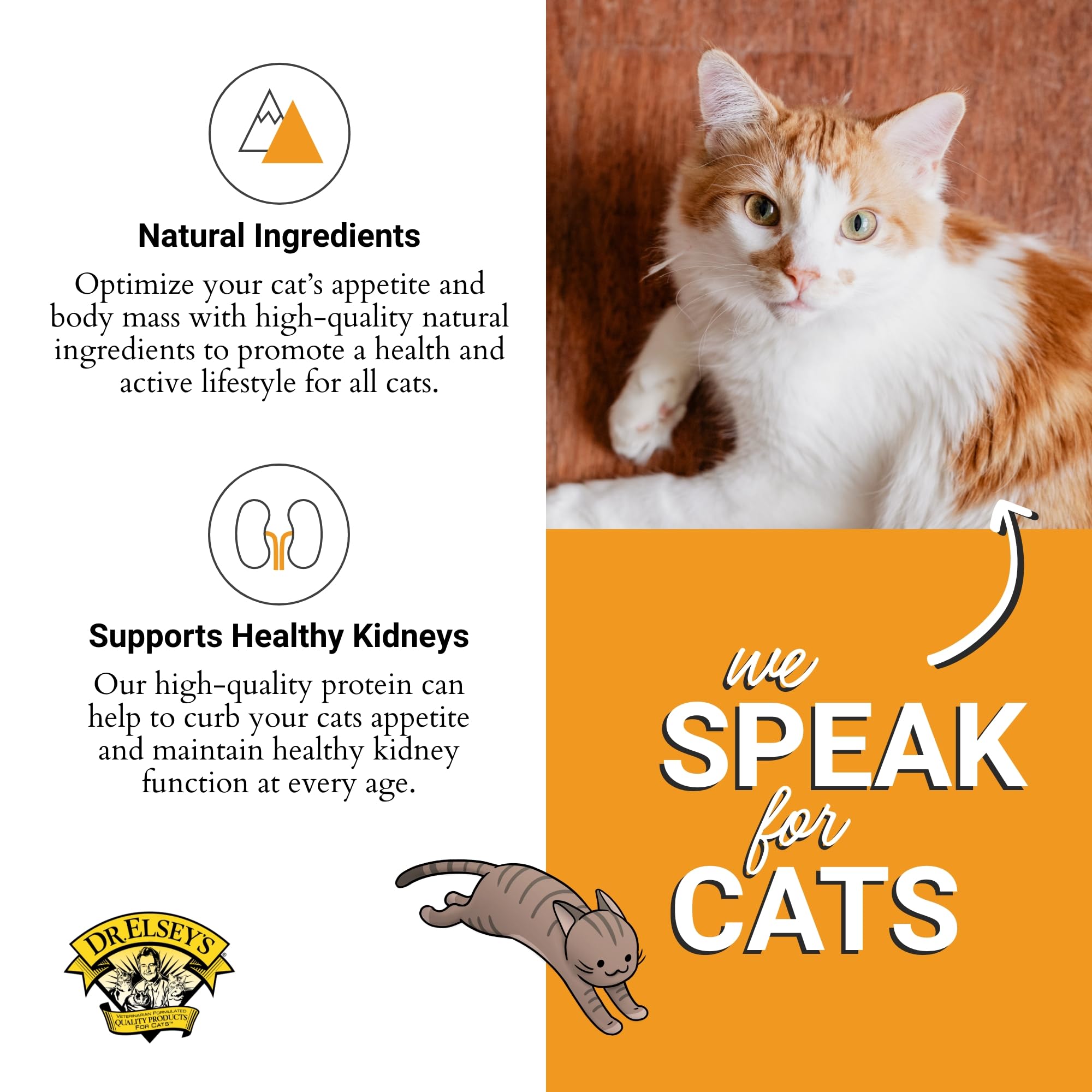 Dr. Elseys Clean Protein Turkey Dry Cat Food - Cat Kibble Dry Food for All Cats - Protein-Rich Healthy Cat Food w/Natural Ingre