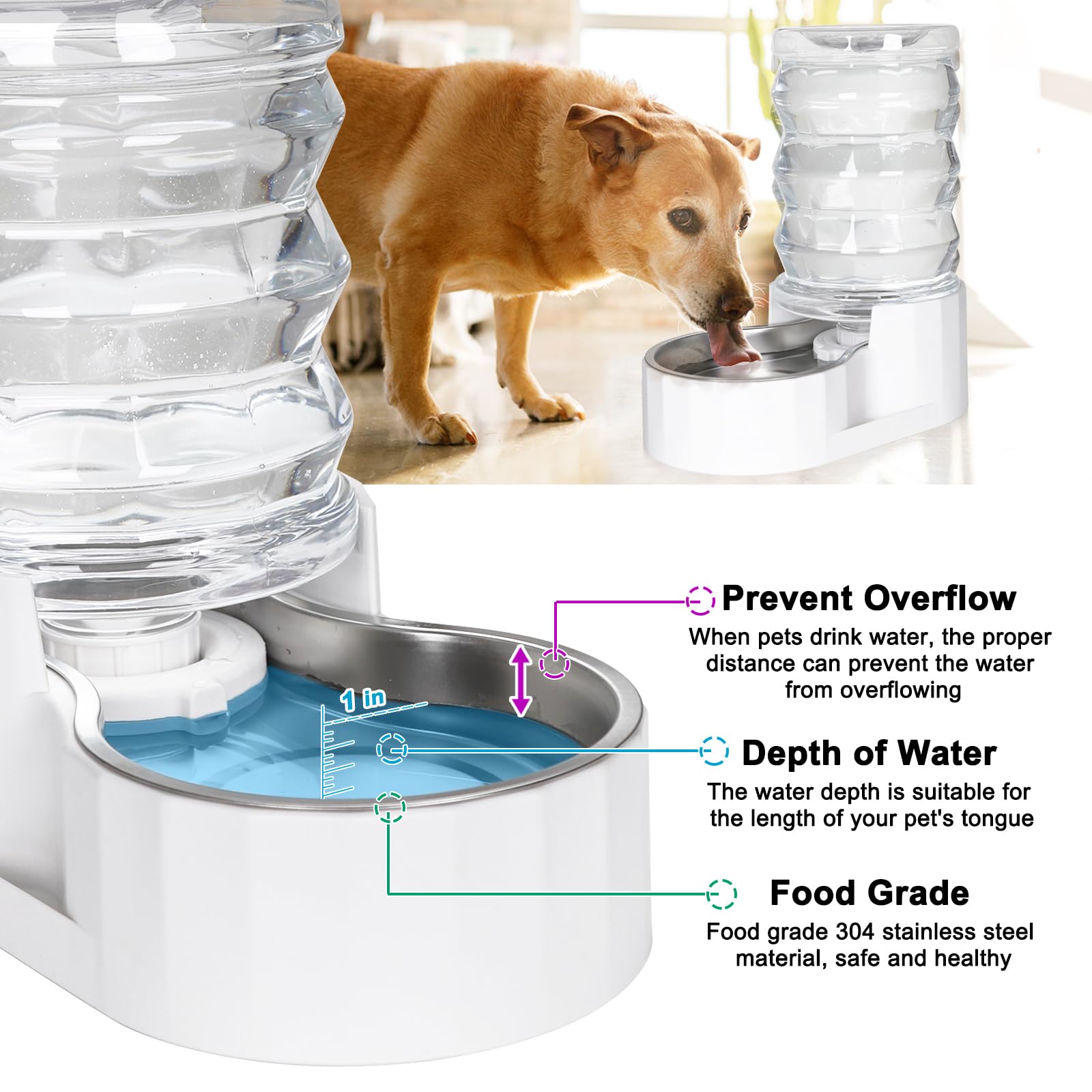 RIZZARI Automatic Pet Waterer - 6L Stainless Steel Gravity Dispenser, BPA-Free, for Cats & Small to Medium Dogs, White