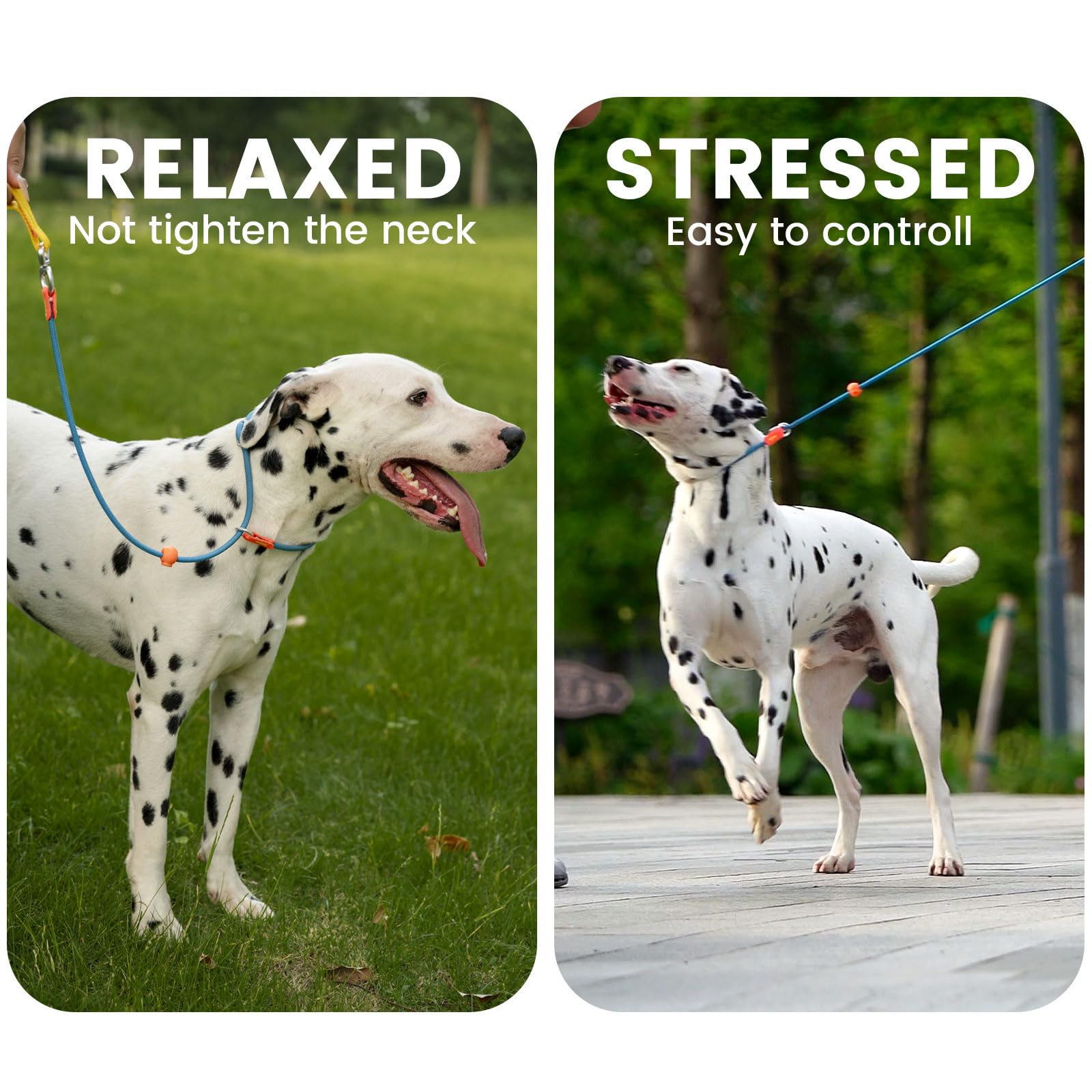 Slip Lead Dog Leash With Double Handles | Reflective Dog Training Leash With 360 Swivel Anti-Tangle | Heavy-Duty Leash And Colla
