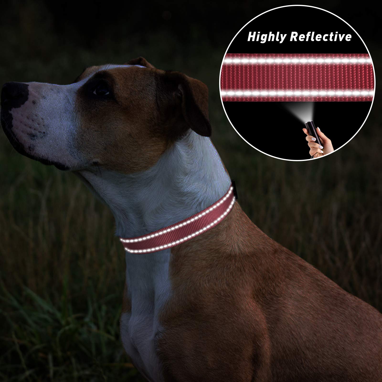 Tagme Reflective Nylon Dog Collars, Adjustable Classic Dog Collar With Quick Release Buckle For Small Dogs, Baby Pink, 3/4' Width