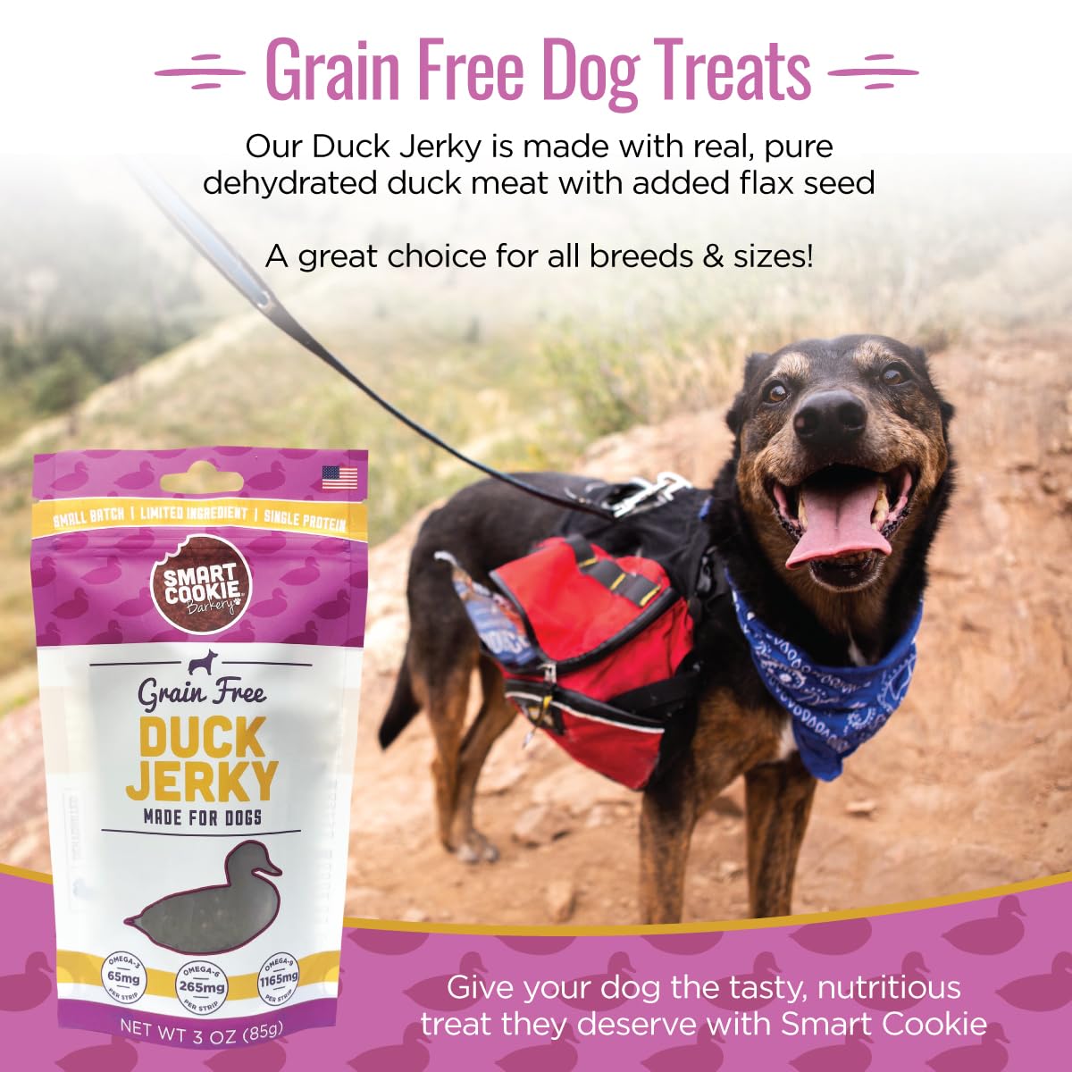 Smart Cookie Duck Jerky Dog Treats with Flax Seed, Omega Oils- Hypoallergenic Strips for Dogs and Puppies with Allergies, Sensit