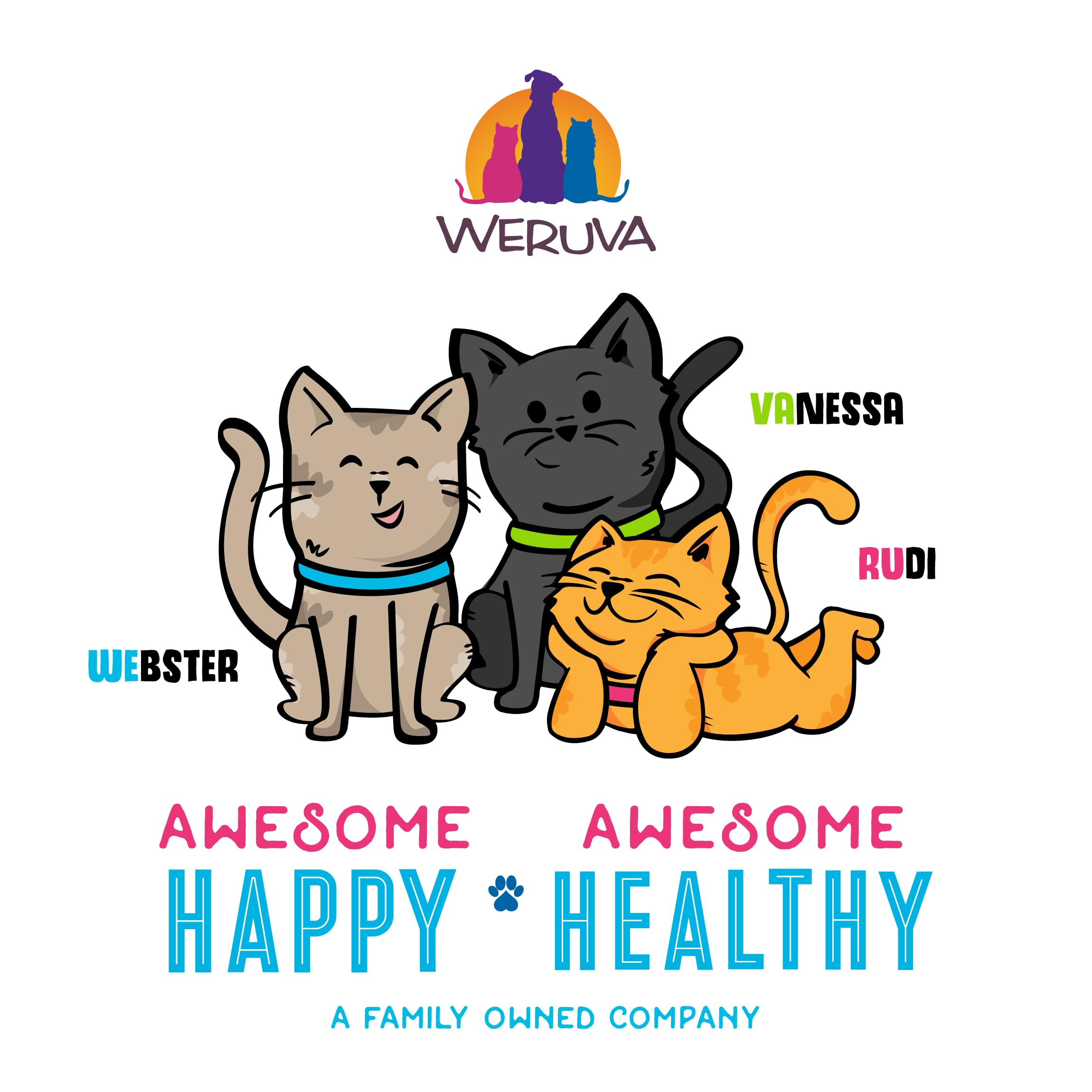Weruva B.F.F. OMG - Best Feline Friend Oh My Gravy!, Tuna & Lamb Luv Ya with Tuna & Lamb in Gravy Cat Food, 3oz Pouch (Pack of 1