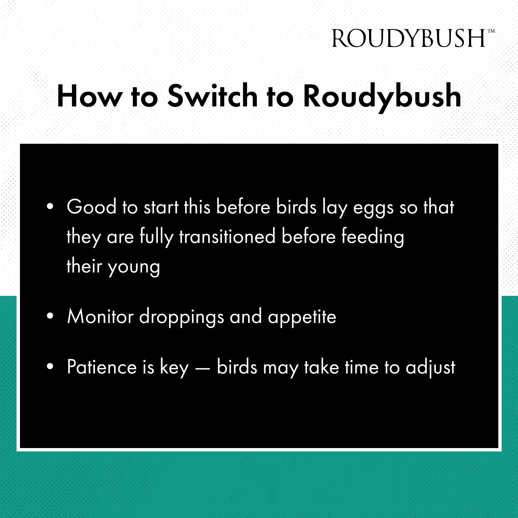 Roudybush Daily Maintenance Bird Food, Small, 10-Pound