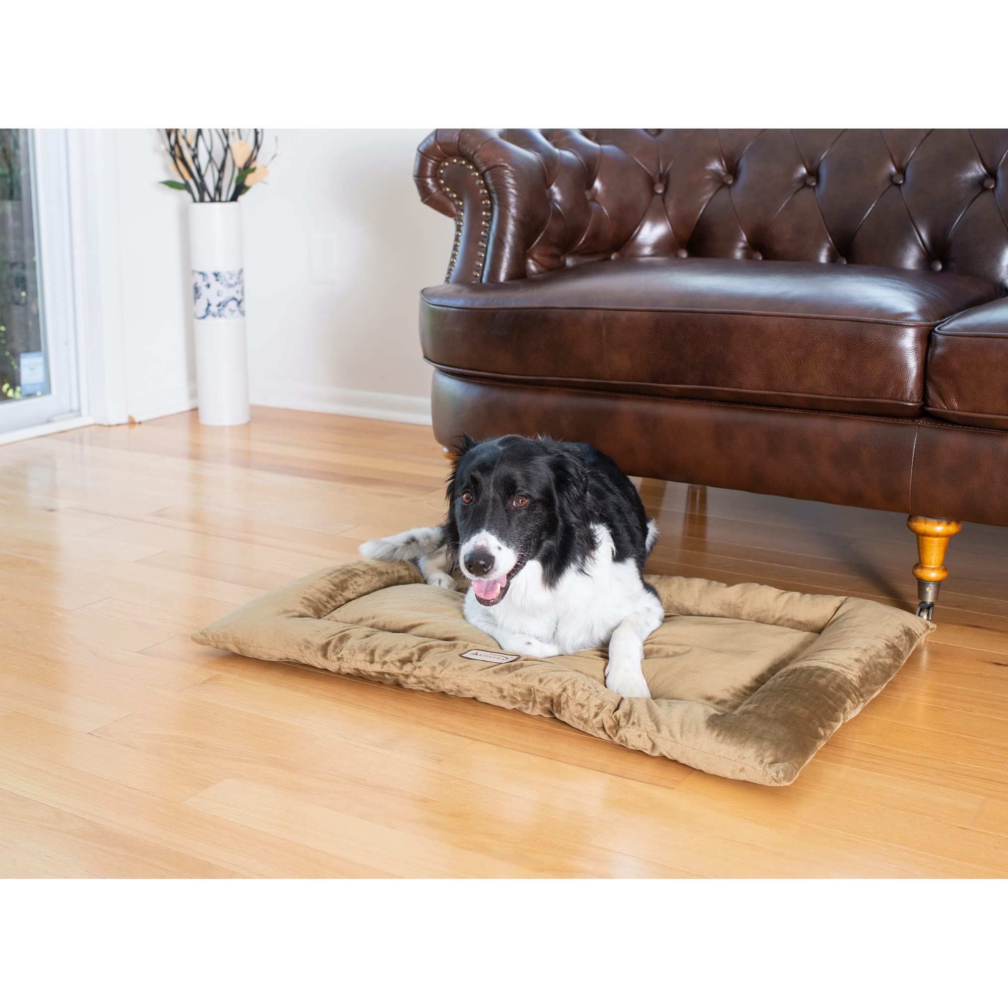 Armarkat Pet Bed Mat 35-Inch By 22-Inch By 3-Inch M01-Large, Sage Green