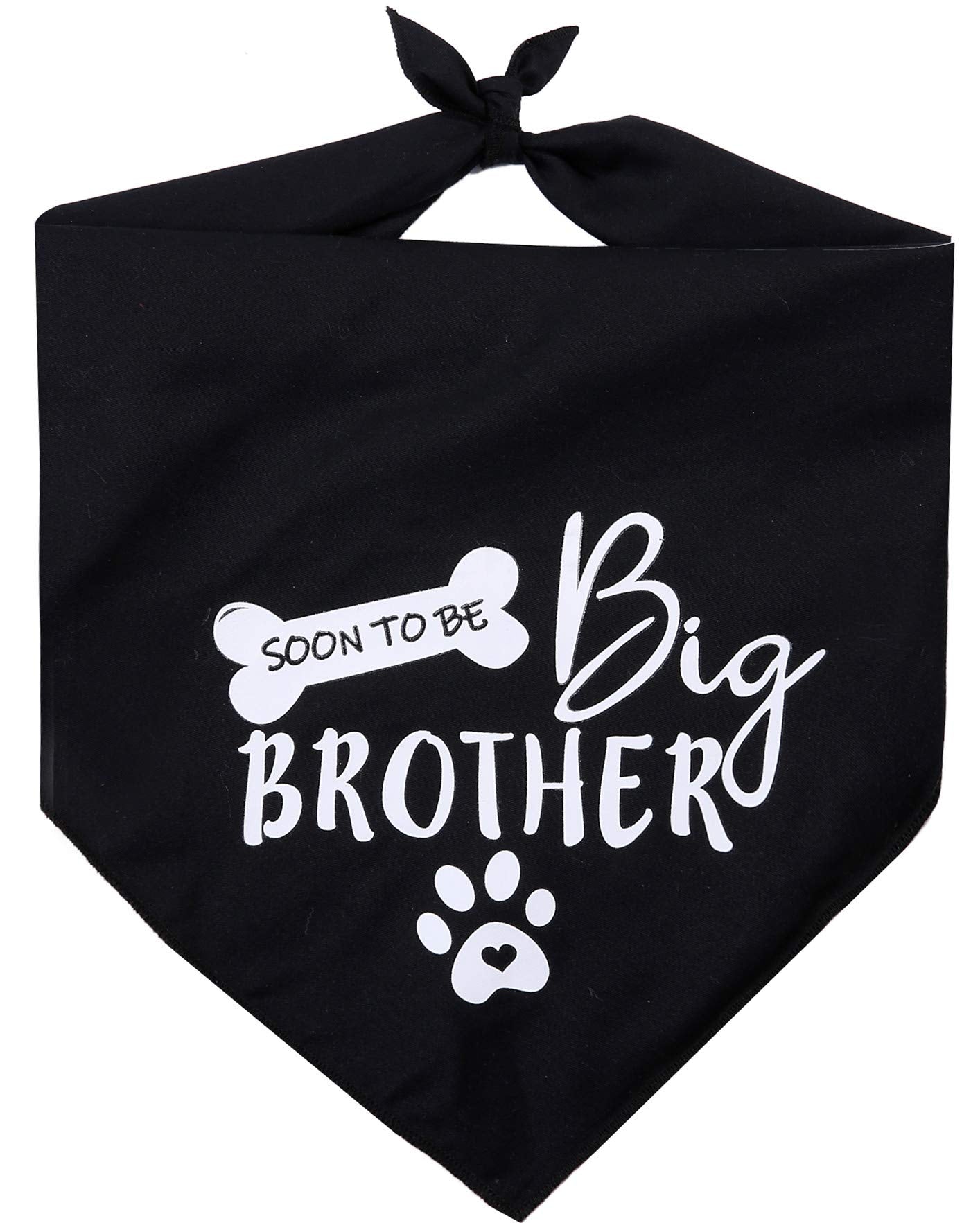 Big Brother Dog Bandana Reversible Triangle Bibs Pet Scarf