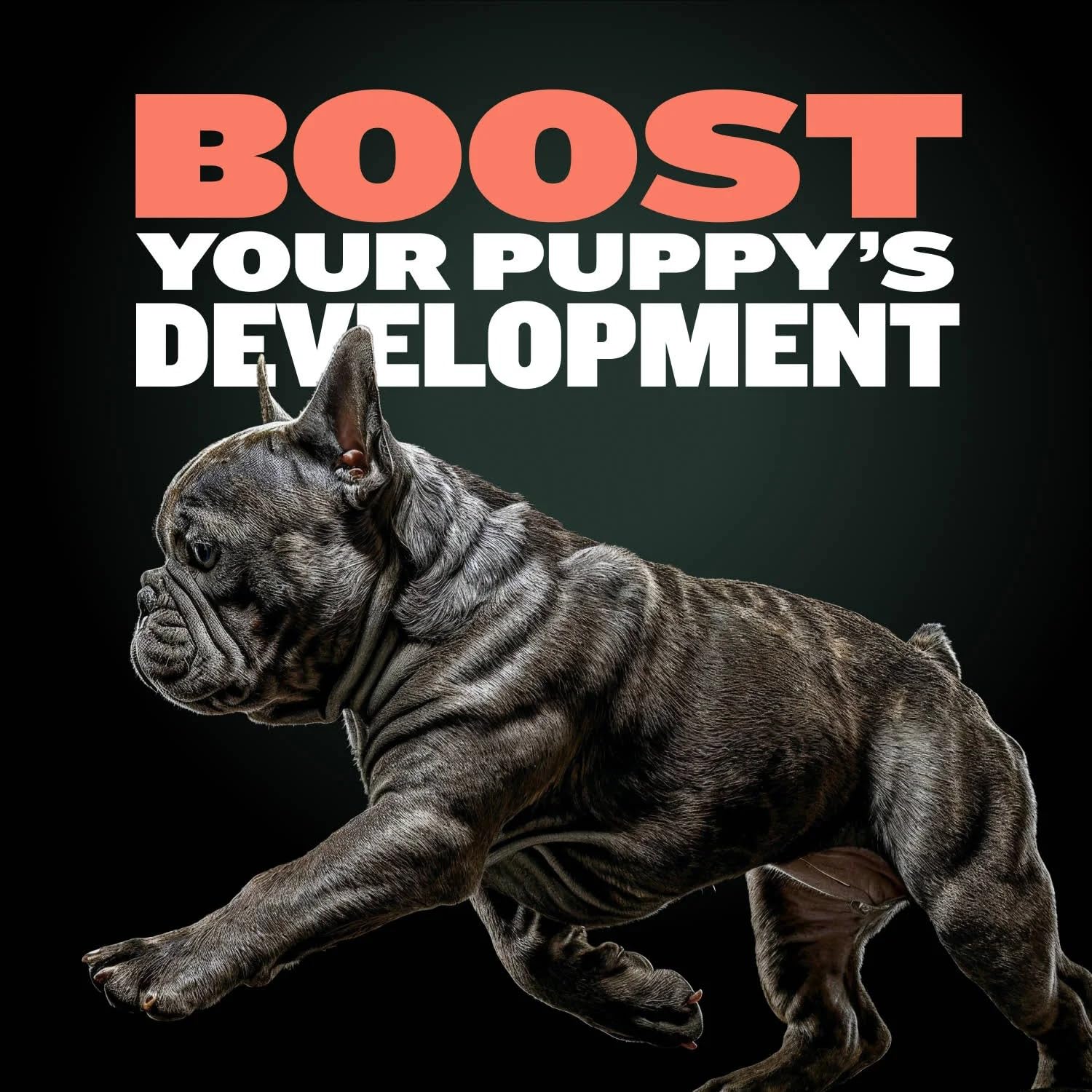 Bully Max Puppy Training Treats - Soft Chews Dog Food Supplements & Vitamins for Brain, Skin & Coat Health - Glucosamine & Chond