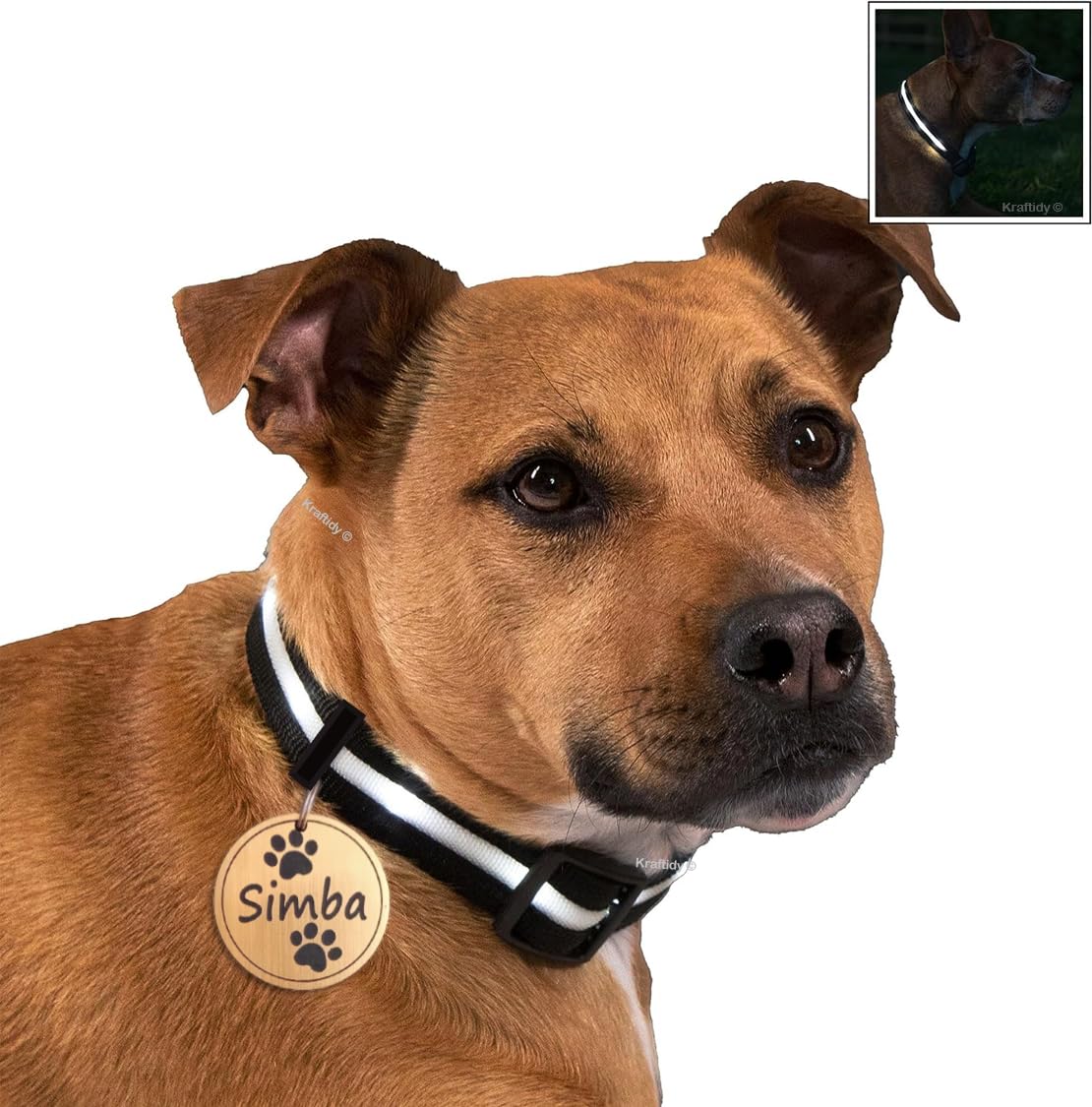 Kraftidy Dog Collar Belt With Customized Name Tag Id For Small Medium Large Dogs  Personalized Reflective Neck Collar (Medium D
