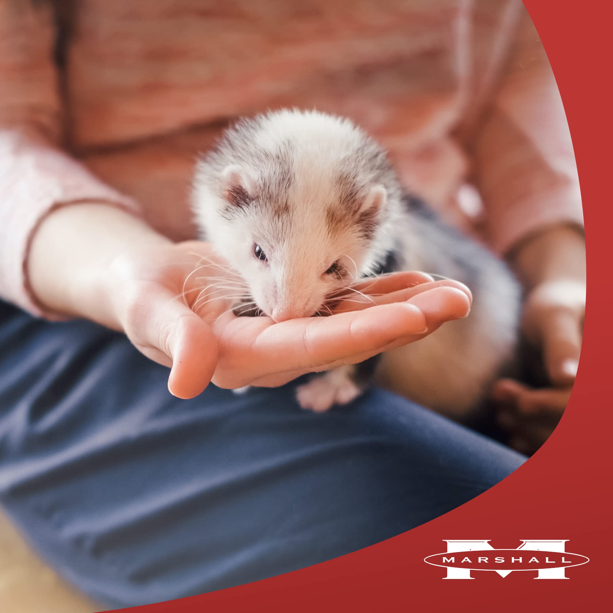 MA 4LB PREM FERRET DIET BAG FD177