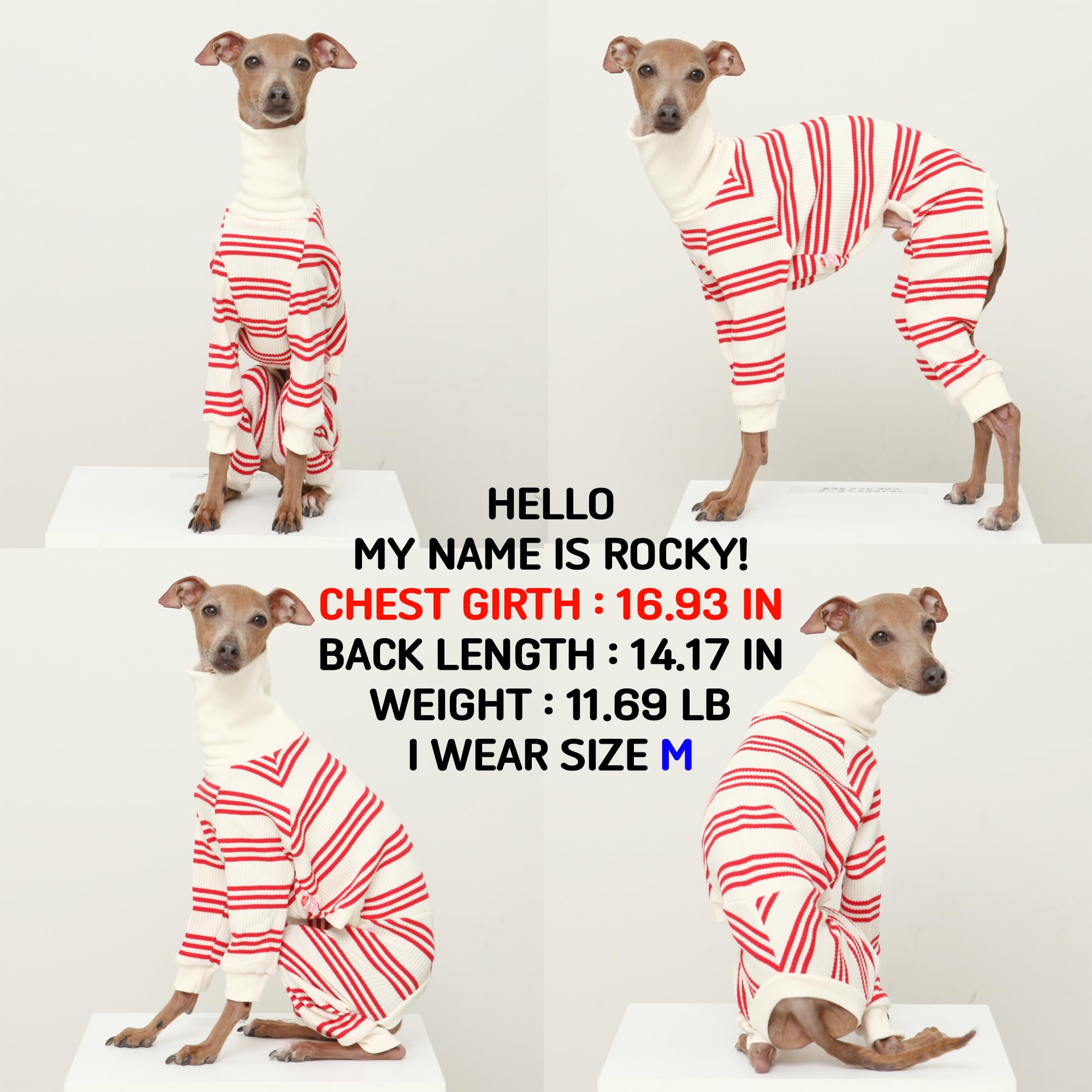 D Doggy Star Italian Greyhound Clothes Soft Stretchy Onesie Refined Stripe Outfit Whippet For Dog Coat (3Xl,Onsi Red Str)