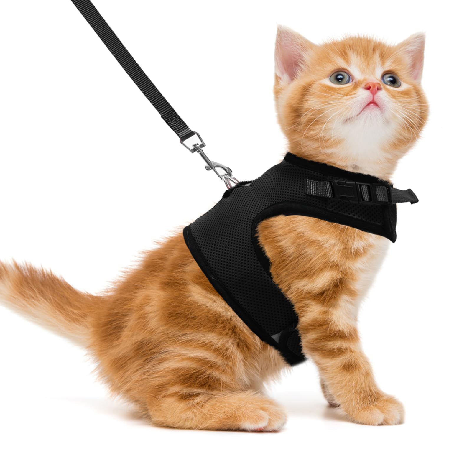 Pupteck Soft Mesh Cat Vest Harness And Leash Set Puppy Padded Pet Harnesses Escape Proof For Cats Small Dogs Rabbits Bunny(Small, Black)
