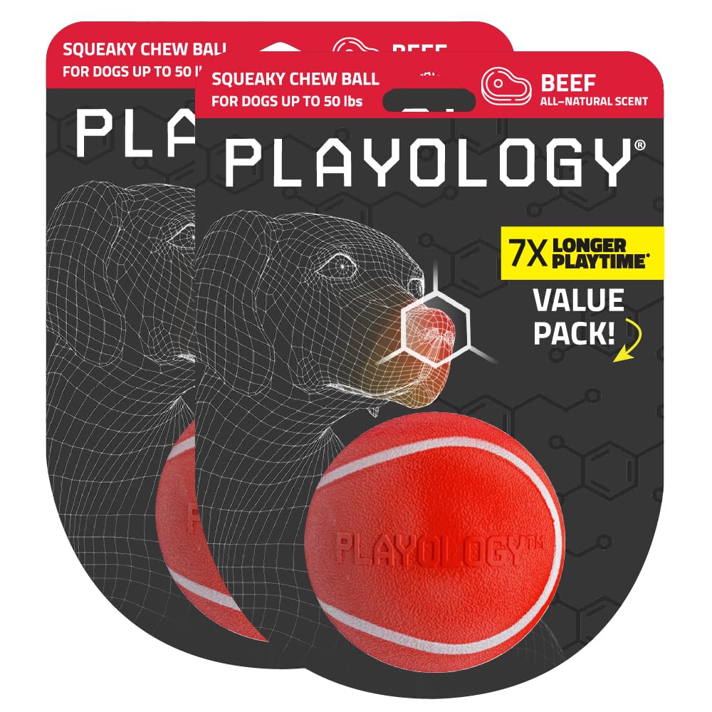 Playology Dog Toys | Squeaky Chew Ball - Bouncy Durable Floating Fetch Ball for Dogs, Value 2-Pack | Medium Beef Scented Toy - E