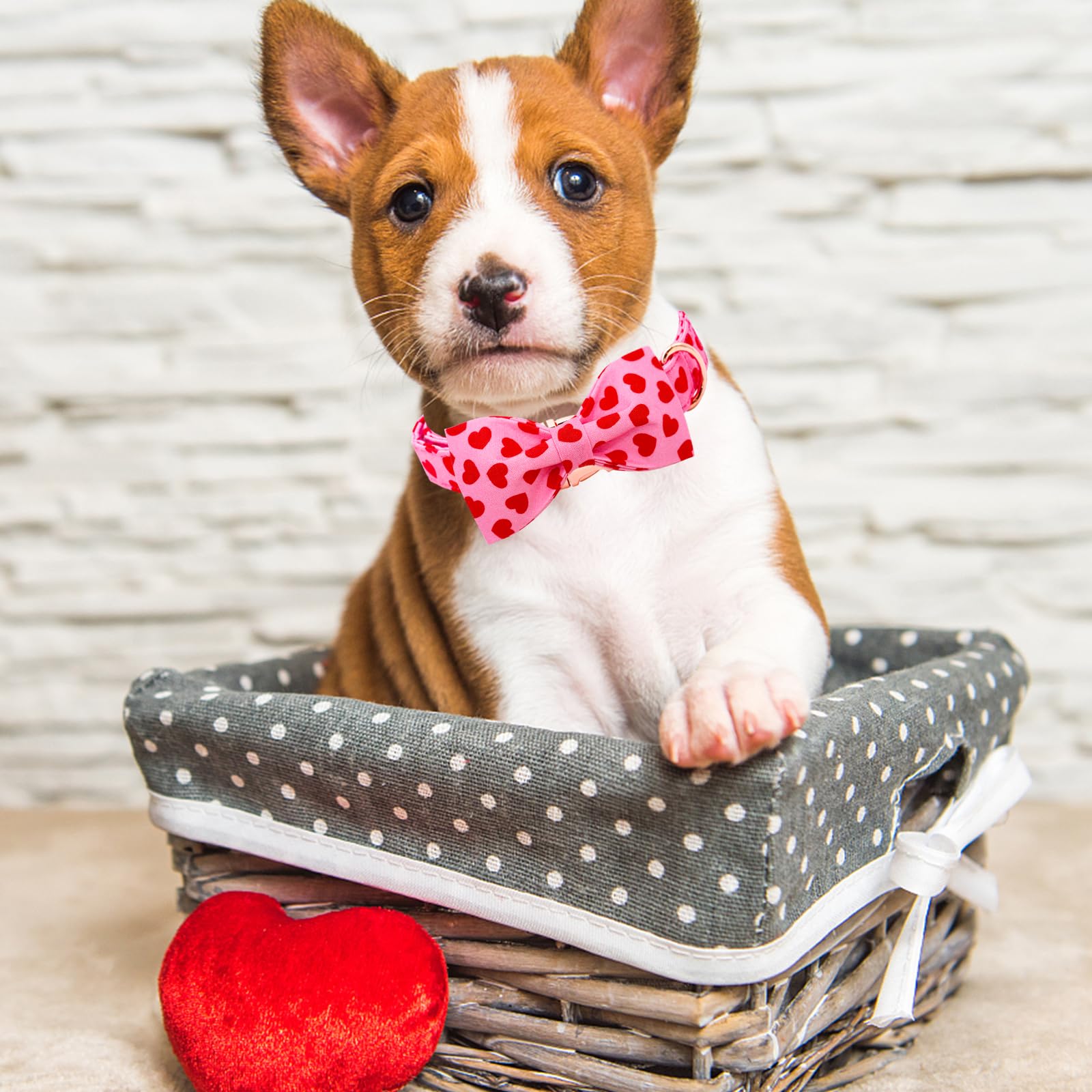 Lionheart Glory Dog Bow Collar Valentine'S Day Dog Collar For Medium Dogs, Hearts Dog Collars With Bowtie Spring Dog Collar Pet