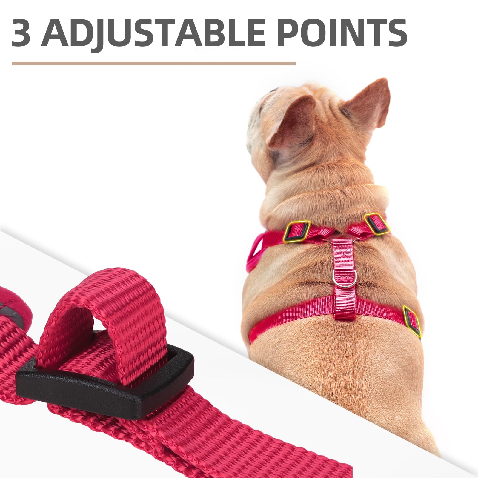 PUPTECK Small Dog Harness and Leash Set, No Pull Adjustable, Soft Mesh Vest, Size M, Fuchsia