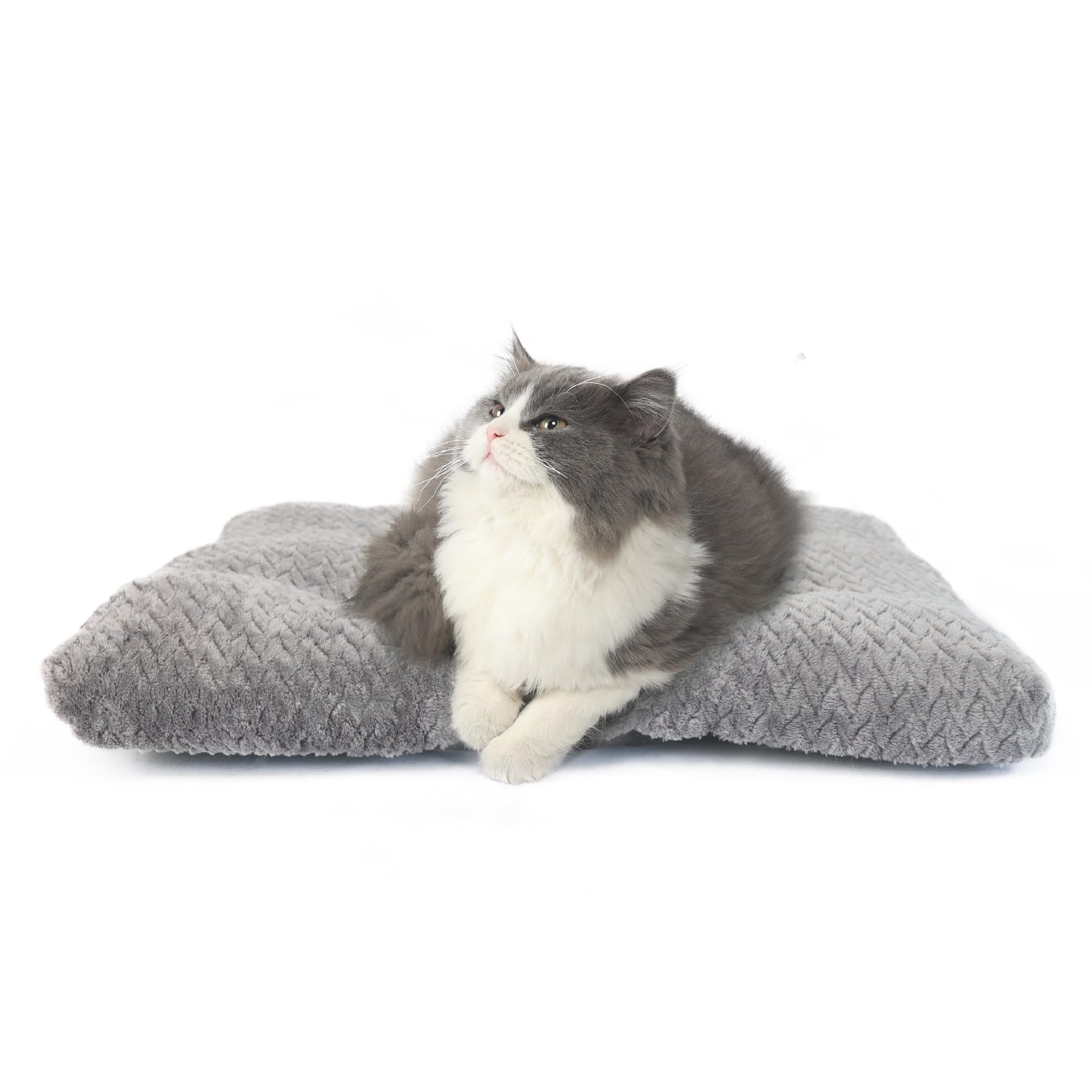 Necesitar Washable Dog Crate Bed 18 Inch Small Anti-Slip Waterproof Warming Cozy Soft Pet Puppy, Dog Pillows For Small Dogs Tire