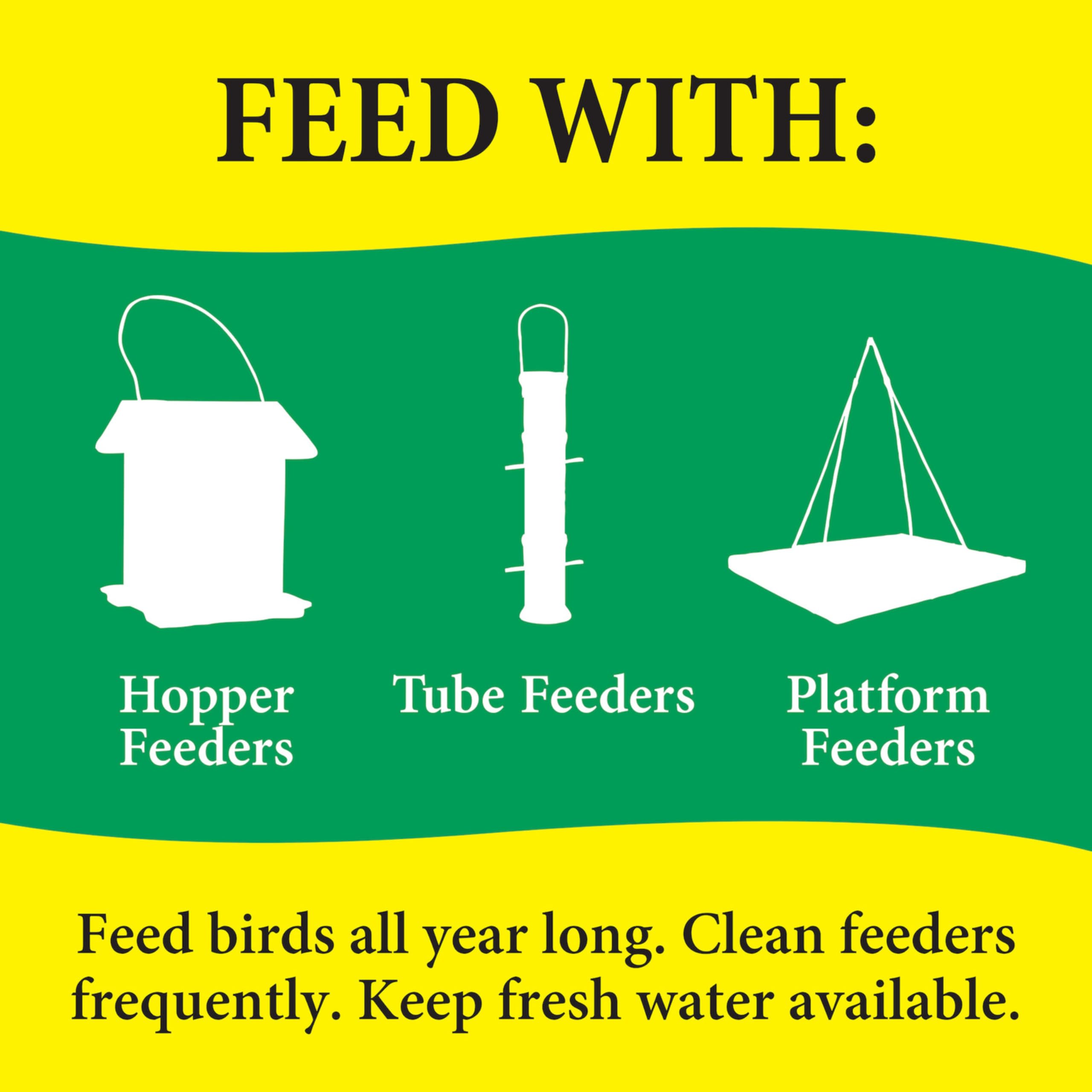 BIRDFOOD NUT N' BERRY 5# (Pack of 1)