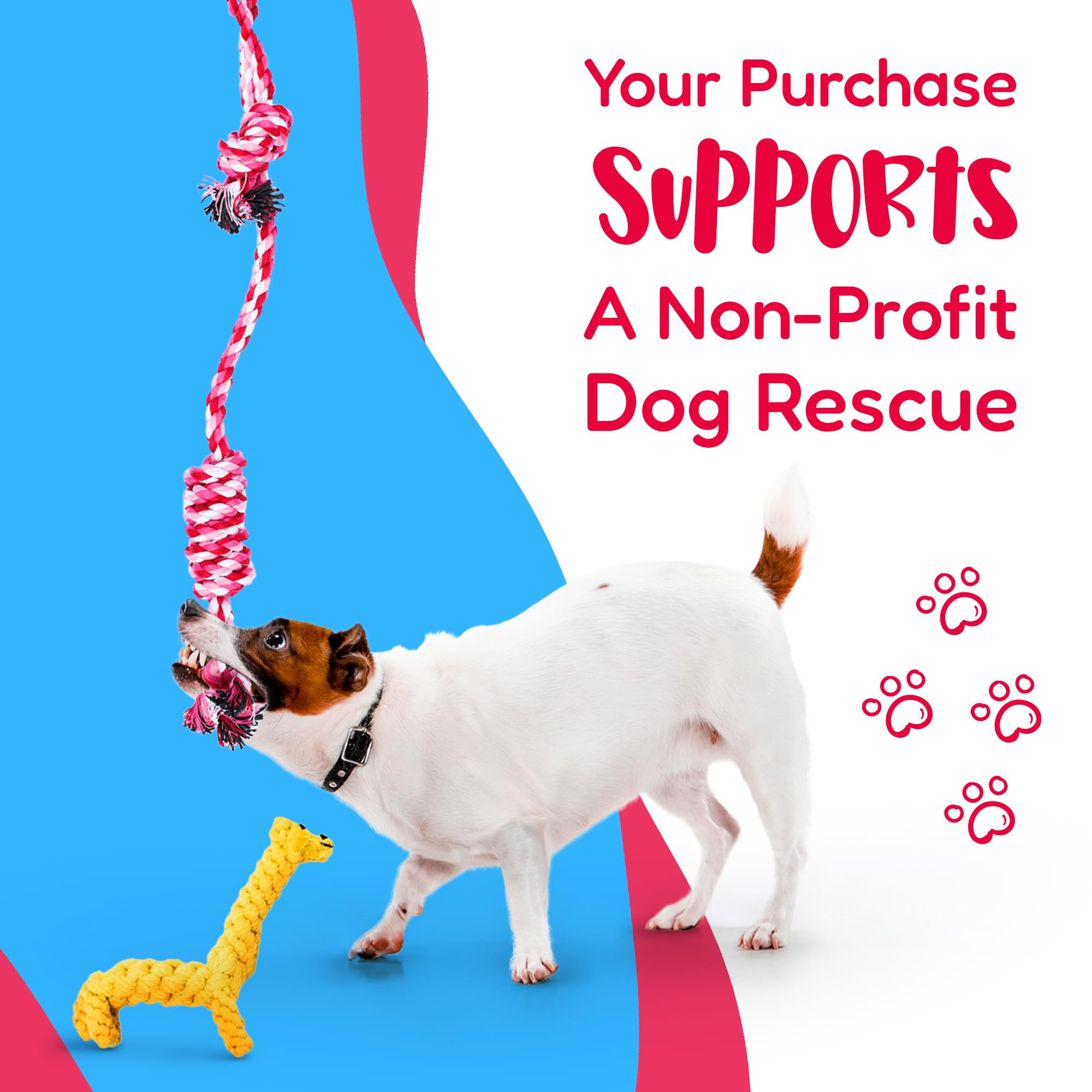 Pacific Pups Products Dog Rope Toys For Medium Dogs 11 Pack (2 Pack)