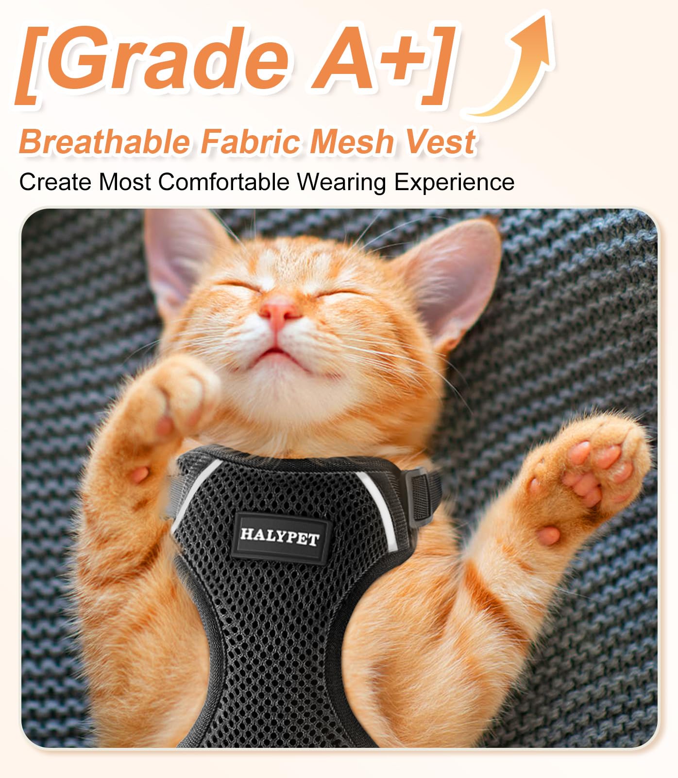 Halypet Cat Harness and Leash Set, Escape Proof Soft Vest, Small (7-12lb), H200 Pro Black, Breathable Mesh, Comfortable for Outdoor Walking