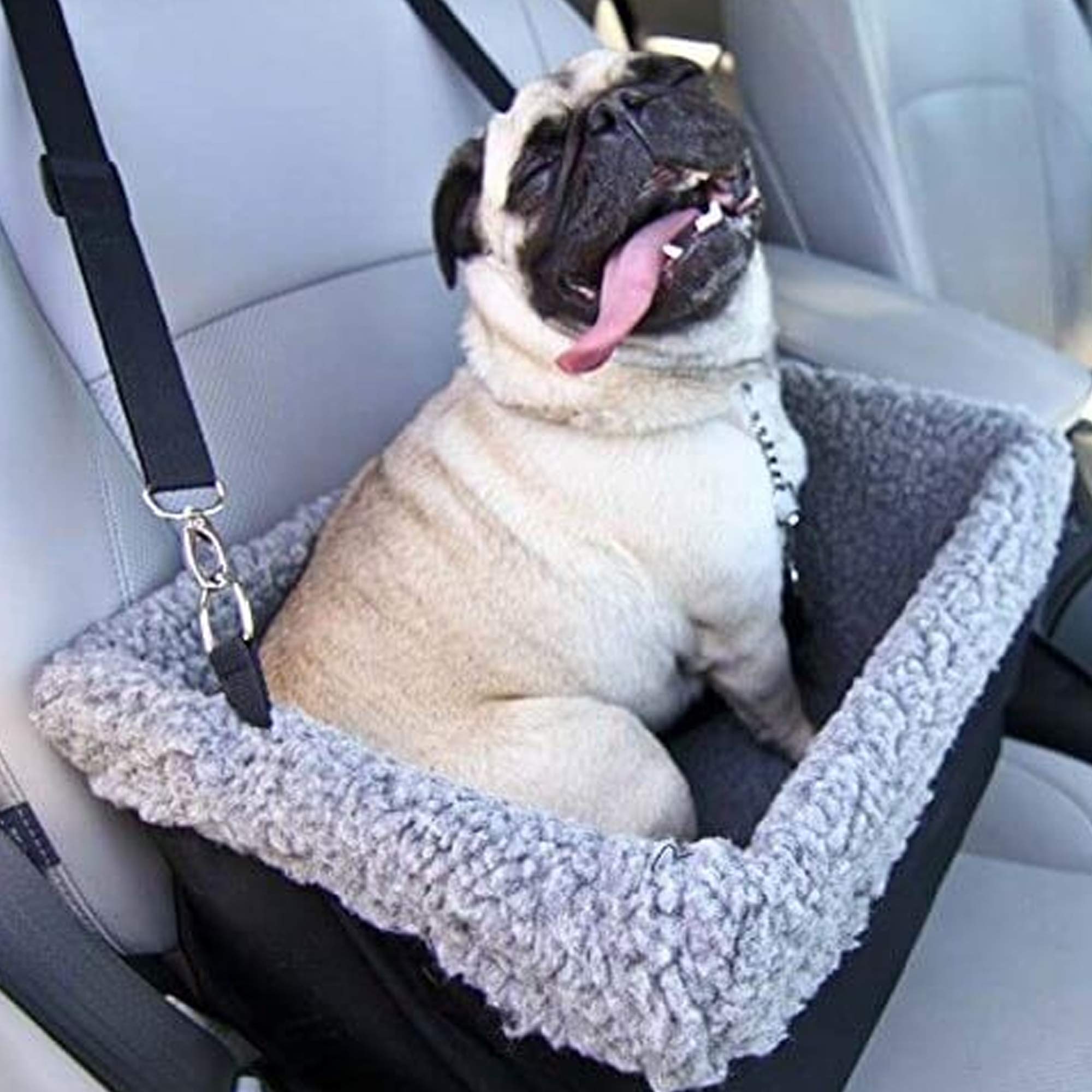 Devoted Doggy Deluxe Dog Car Seat Fits Pets Up To 15Lbs, Dog Booster Seat, Padded Cushioning, Adjustable Straps, Metal Frame Enc