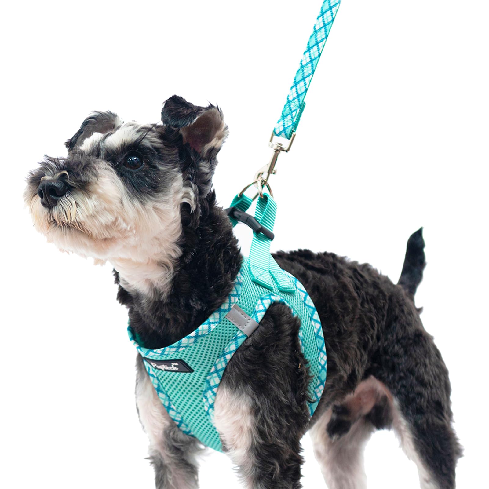 Pupteck Dog Harness And Leash Set For Small Medium Dogs No Pull Step-In Soft Mesh Puppy Cat Vest Harnesses Reflective At Night, Green M
