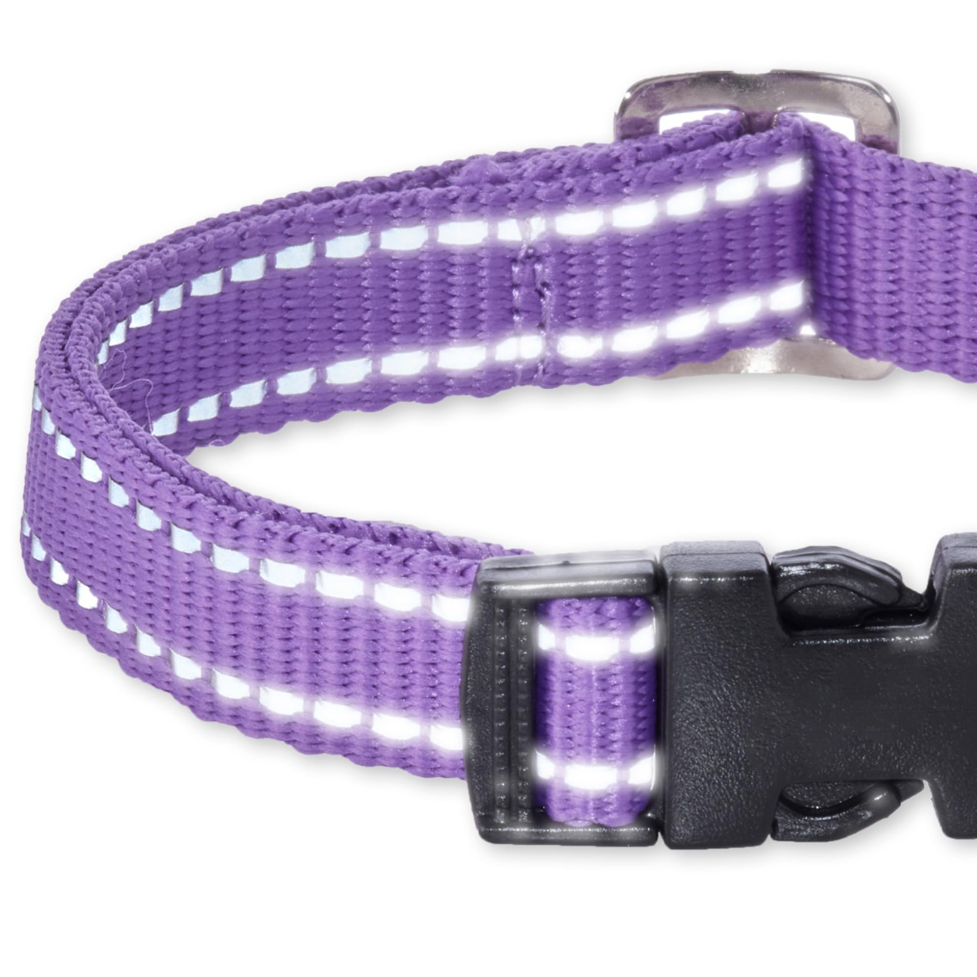 Pet Passion Adjustable Reflective Dog Pet Collar For Small, Medium And Large Dogs, Purple, X-Large