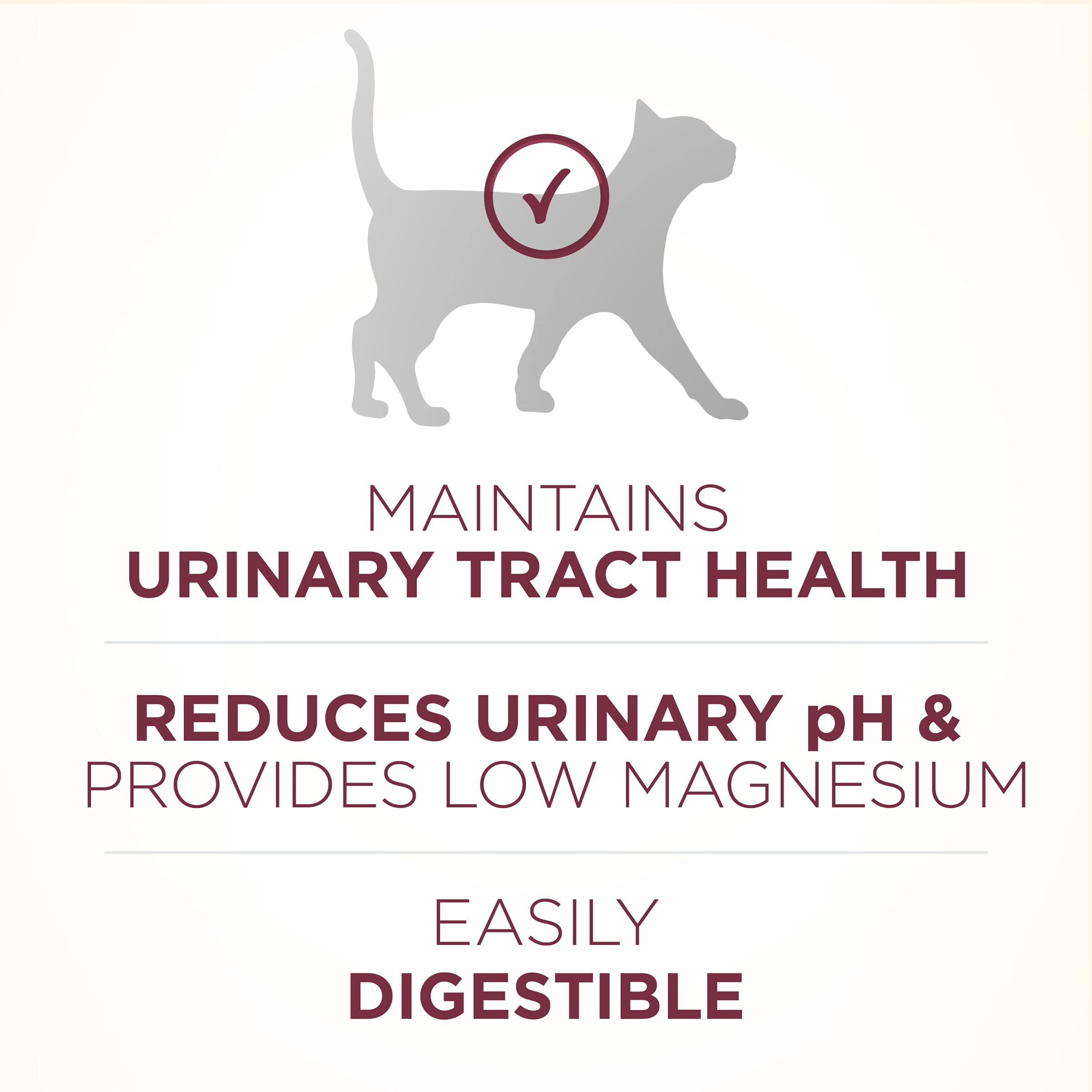 Purina ONE High Protein Dry Cat Food, +Plus Urinary Tract Health Formula - 16 lb. Bag