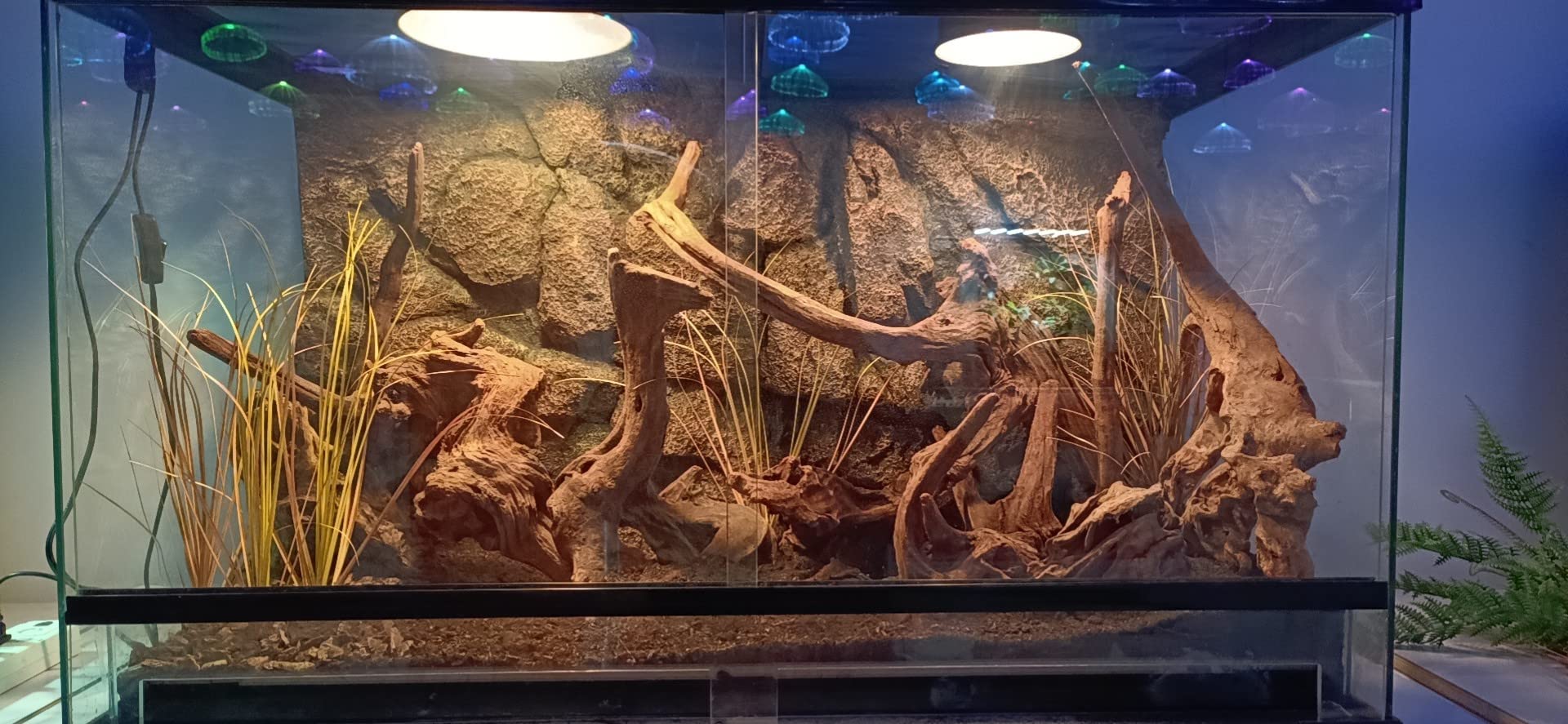 WOLEDOE Fake Desert Dry Grass, Reptile Plants for Terrarium, Bearded Dragon Tank Accessories Habitat Decor fit Crested Gecko Leo
