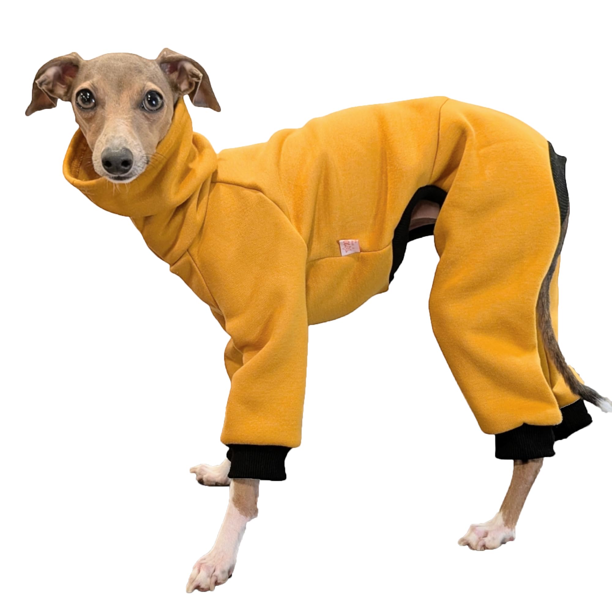 D Doggy Star Italian Greyhound Clothes Strechy Fleeced Lining Simple Onesie Whippet For Dog Coat (2Xl,Simple Mustard)