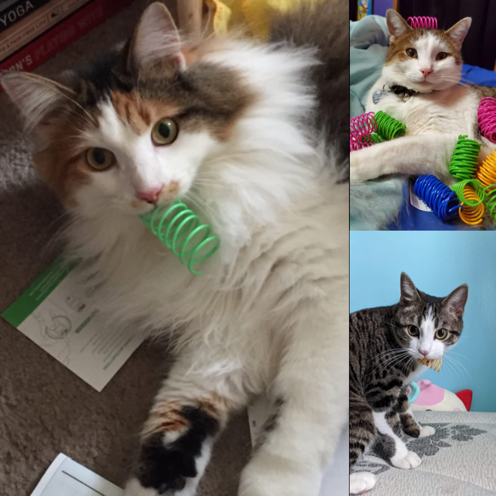 Ismarten Cat Spring Toys 60 Pack, Colorful Springs Cat Toys Interactive Cat Toy Plastic Coil Spiral Springs Creative Cat Toy To Kill Time And Keep Fit Heavy Plastic Spring For Indoor Cats Kitten Toys