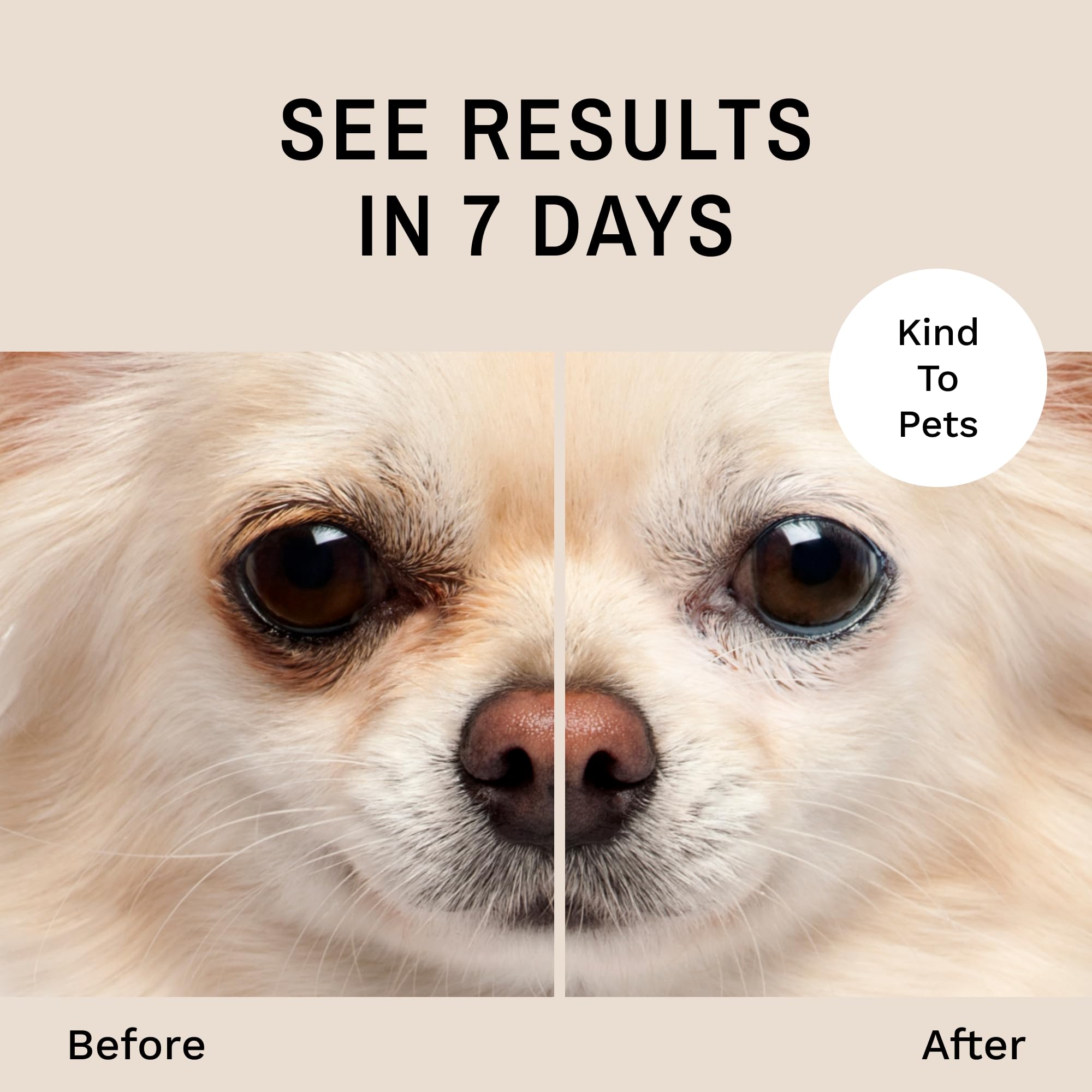 Eye Envy Tear Stain Remover Solution for Dogs. 100% Natural, Safe. Treats The Cause of Stains. Recommended by AKC Breeders, Vets