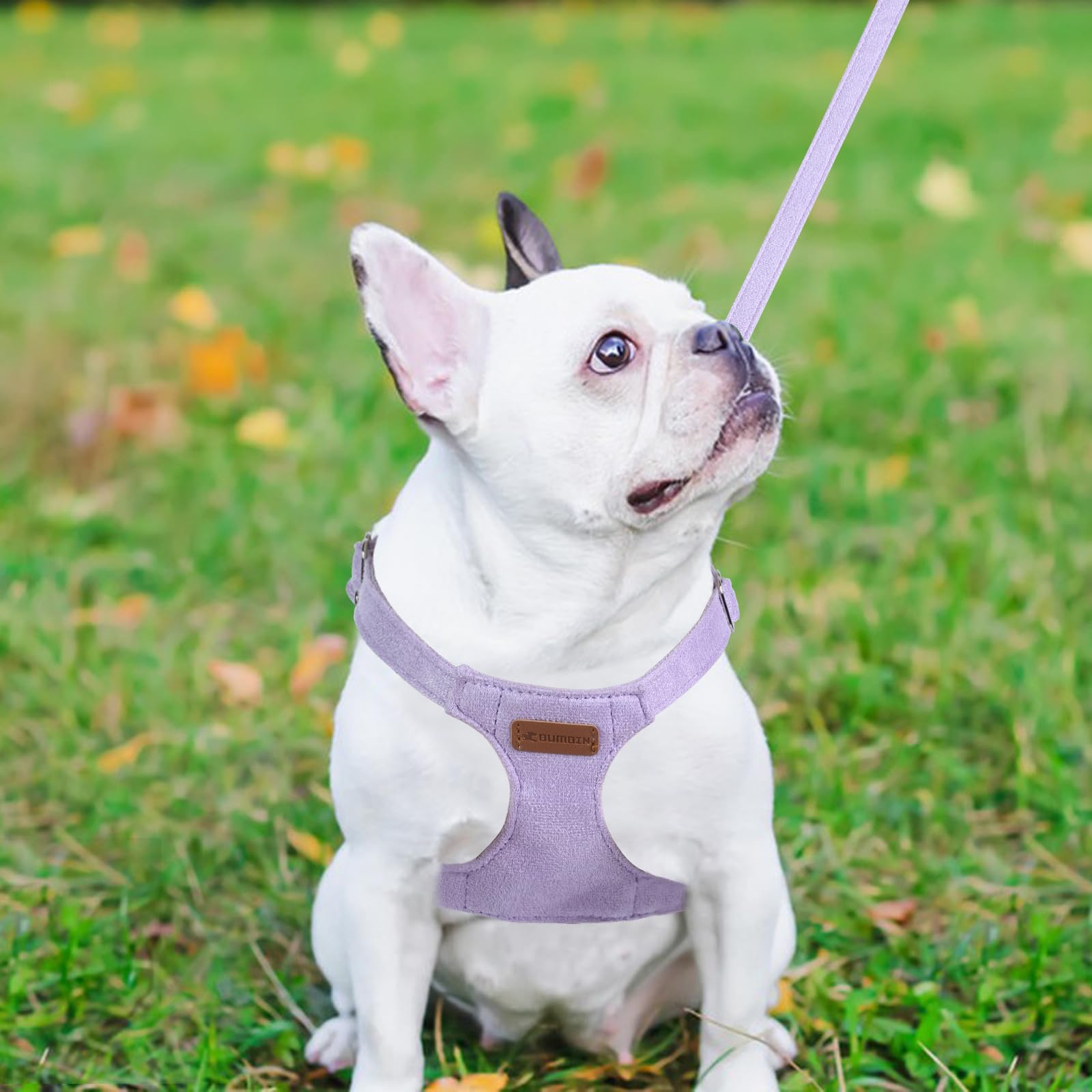 Dog Harness And Leash Set, S No Pull Adjustable Puppy Harness With Multifunction Purple Dog Leash And Collar, Soft No Choke Esca