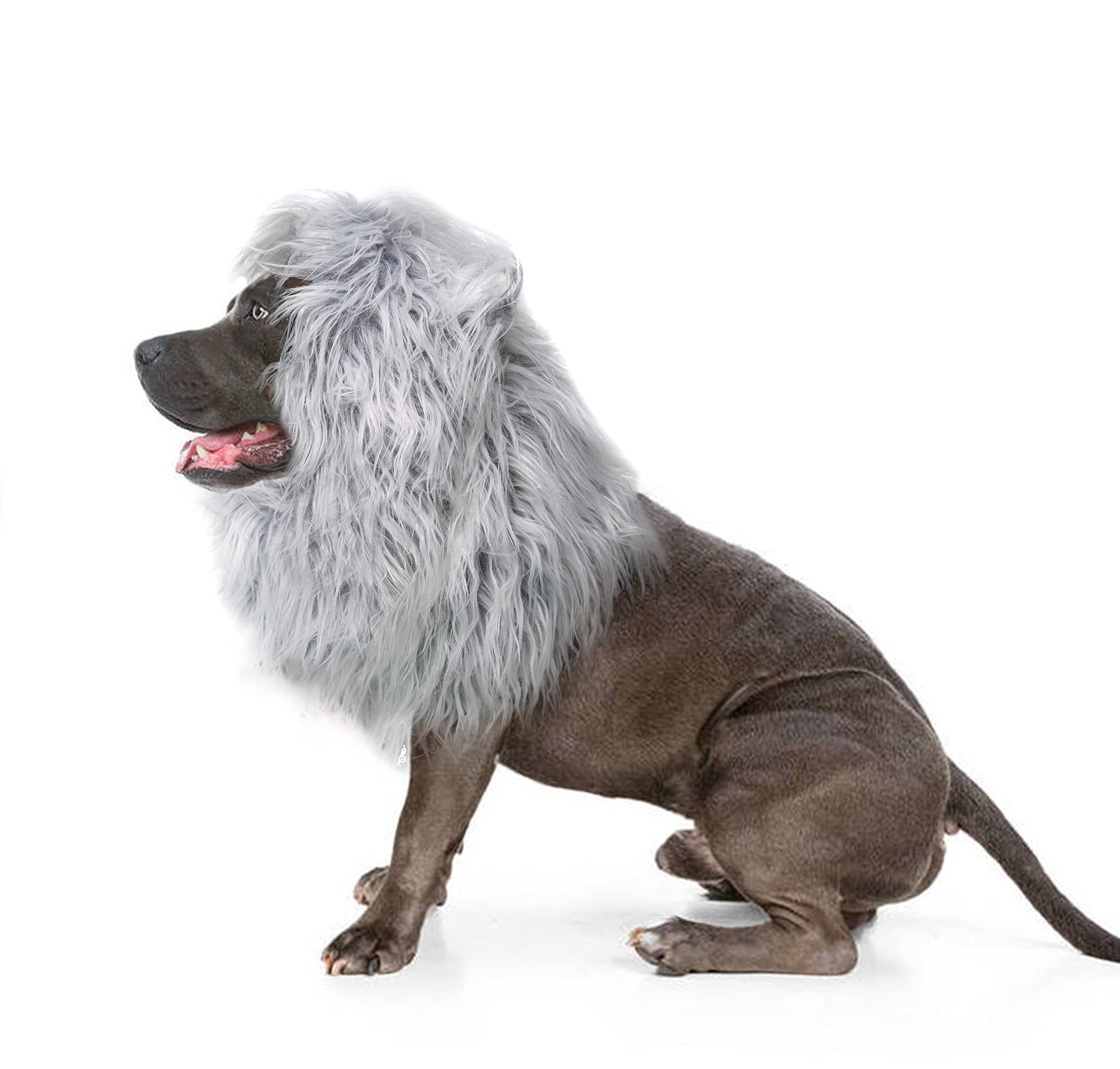 Onmygogo Lion Mane Wig For Dogs With Ears, Funny Pet Costumes For Halloween Christmas (Size L, Grey With White)