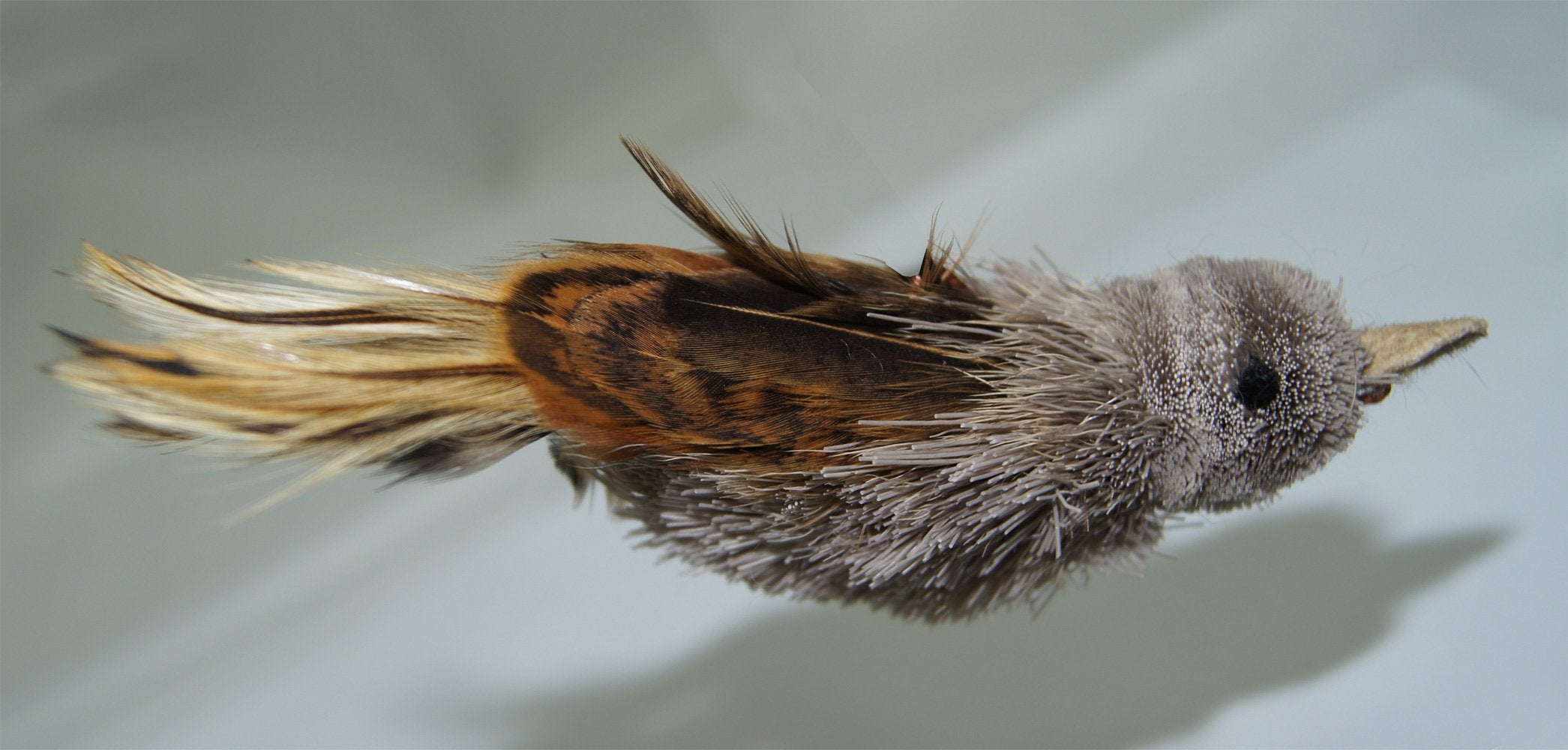 Big Sky Cats House Finch Bird Refill/Attachment- Fits Wildcat And Popular Bird And Mouse Type Wands/Poles