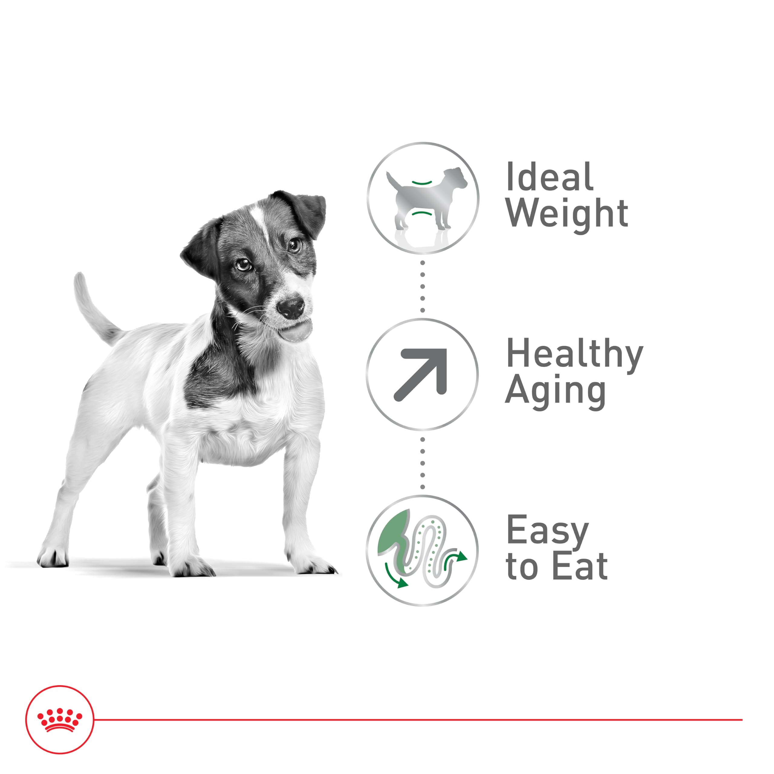 Royal Canin Size Health Nutrition Small Aging 12+ Dry Dog Food, 2.5 lb bag