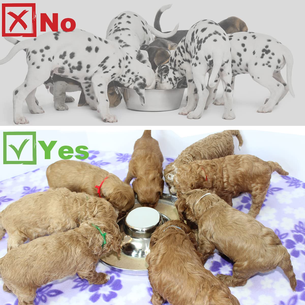 Podinor Stainless Steel Puppy Dog Bowls 2 Pack, Pets Puppies Feeding Food and Water Weaning Bowls Dishes Feeder