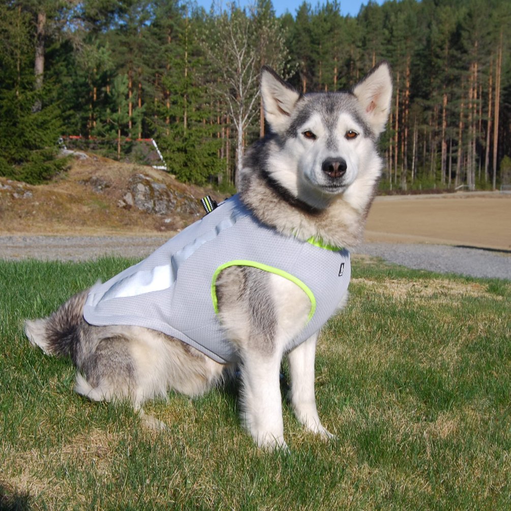 Sgoda Dog Cooling Vest Harness Cooler Jacket Grey Orange Large