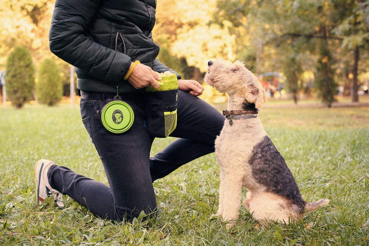 Dog Treat Pouch - Premium Training Treat Bag with Clicker and Collapsible Bowl for Dogs, Adjustable Waist and Shoulder Reflectiv