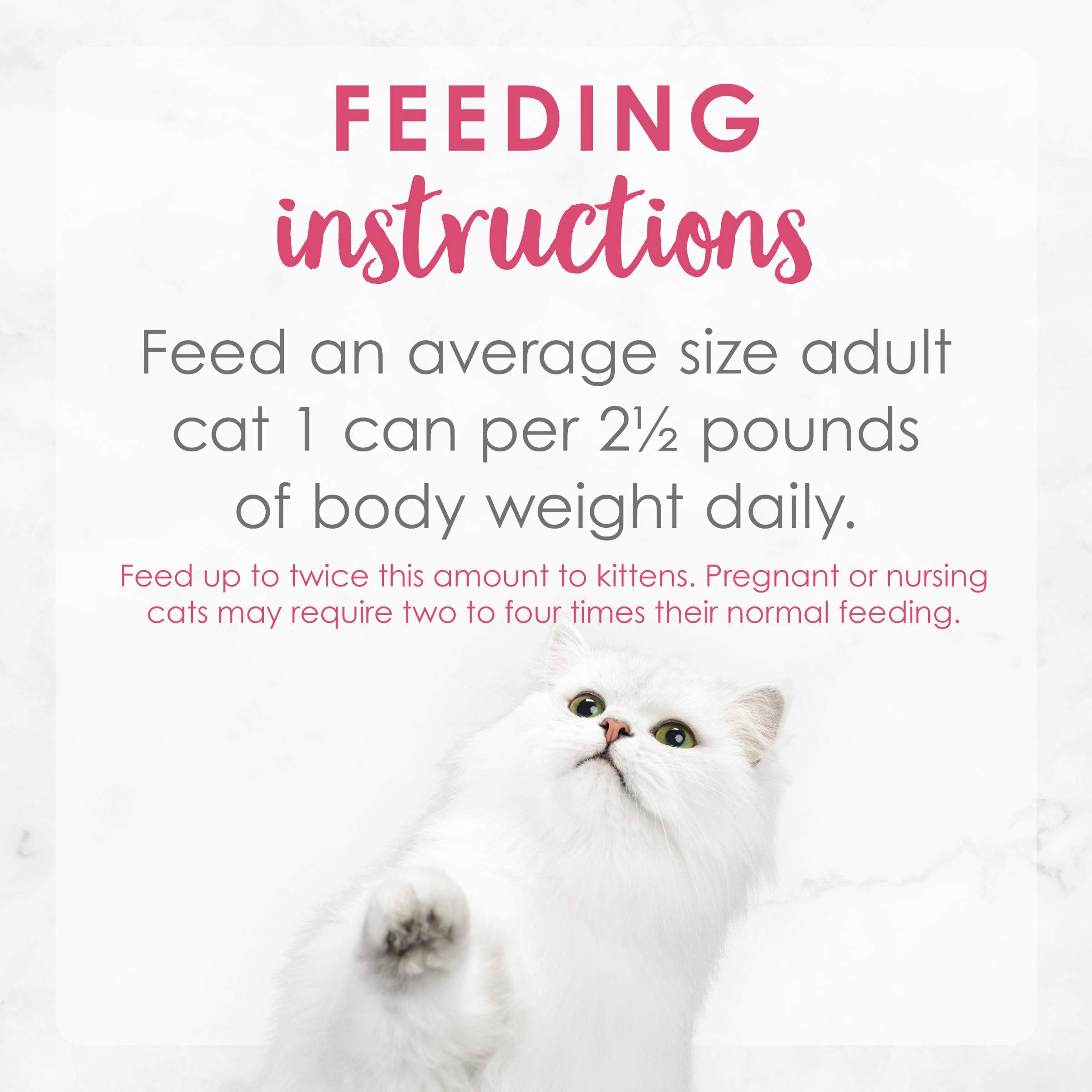 Purina Fancy Feast Grilled Wet Cat Food Salmon and Shrimp Feast in Wet Cat Food Gravy - (Pack of 24) 3 oz. Cans