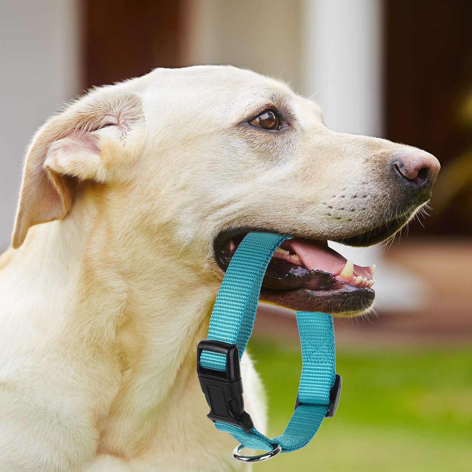 9 Pieces Adjustable Dog Collar For Animal, Soft Nylon Pets Puppy Collar With Quick Release Buckle Holder Bulk For Dogs Walking R