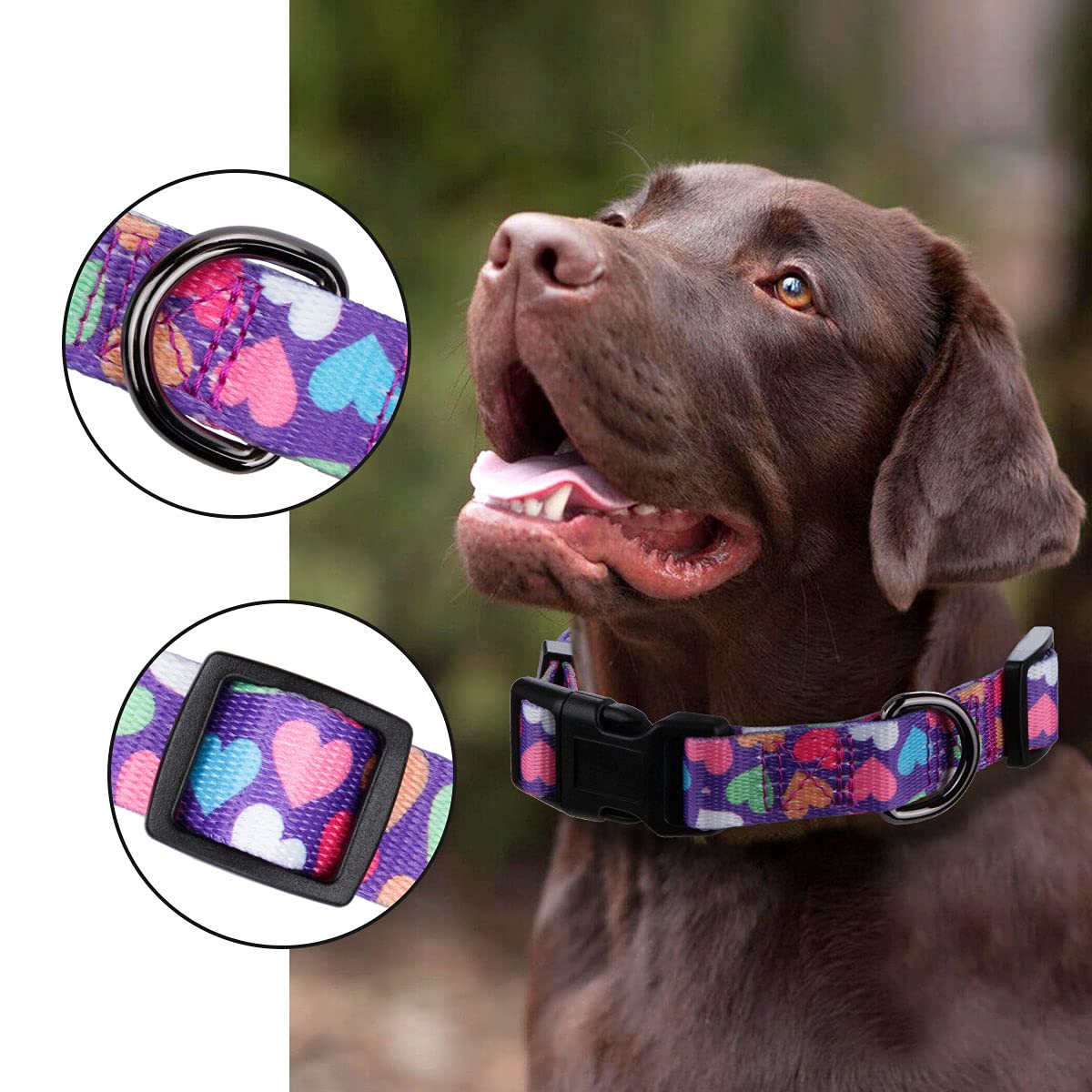 Rhea Rose Girl Dog Collars Spring Cute Heart Pattern Lovely Print Purple For Medium Dogs