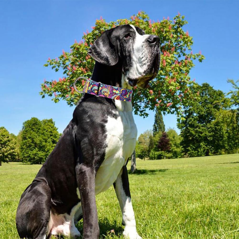 Martingale Dog Collar No-Pull Adjustable For Medium/Large Dogs - Heavy Duty 1.5' Wide Training Collar With Aztec Tribal Pattern