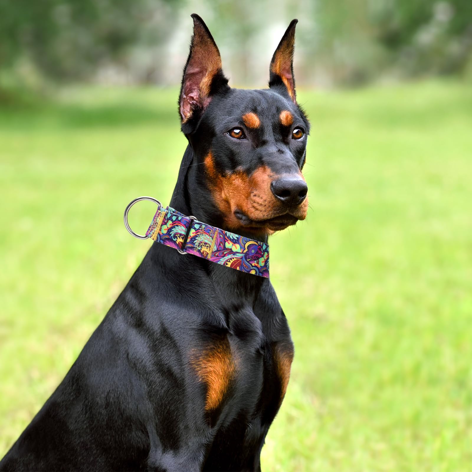 Maowuwujoz 1.5 Inch Wide Martingale Dog Collar - Adjustable No Pull Choke Cinch Escape Proof Training Collar For For Pitbulls, G