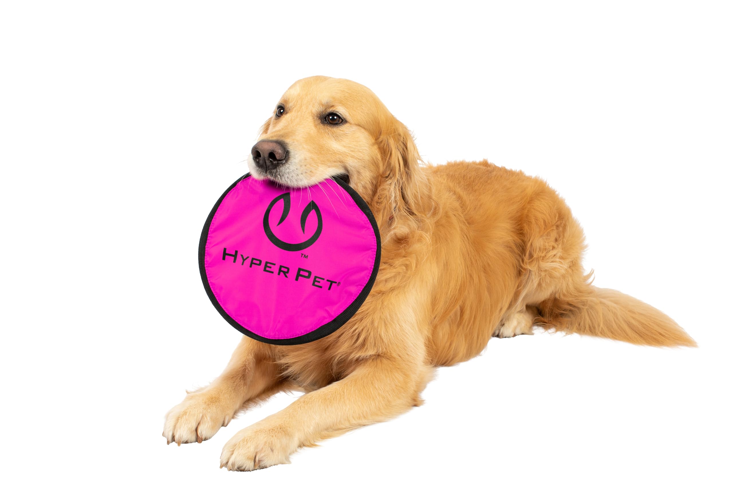 Hyper Pet Flippy Flopper Dog Frisbee Interactive Dog Toys [Flying Disc Fetch Toy Floats In Water & Safe On Teeth] (Colors Will Vary), Multicolor, 9'