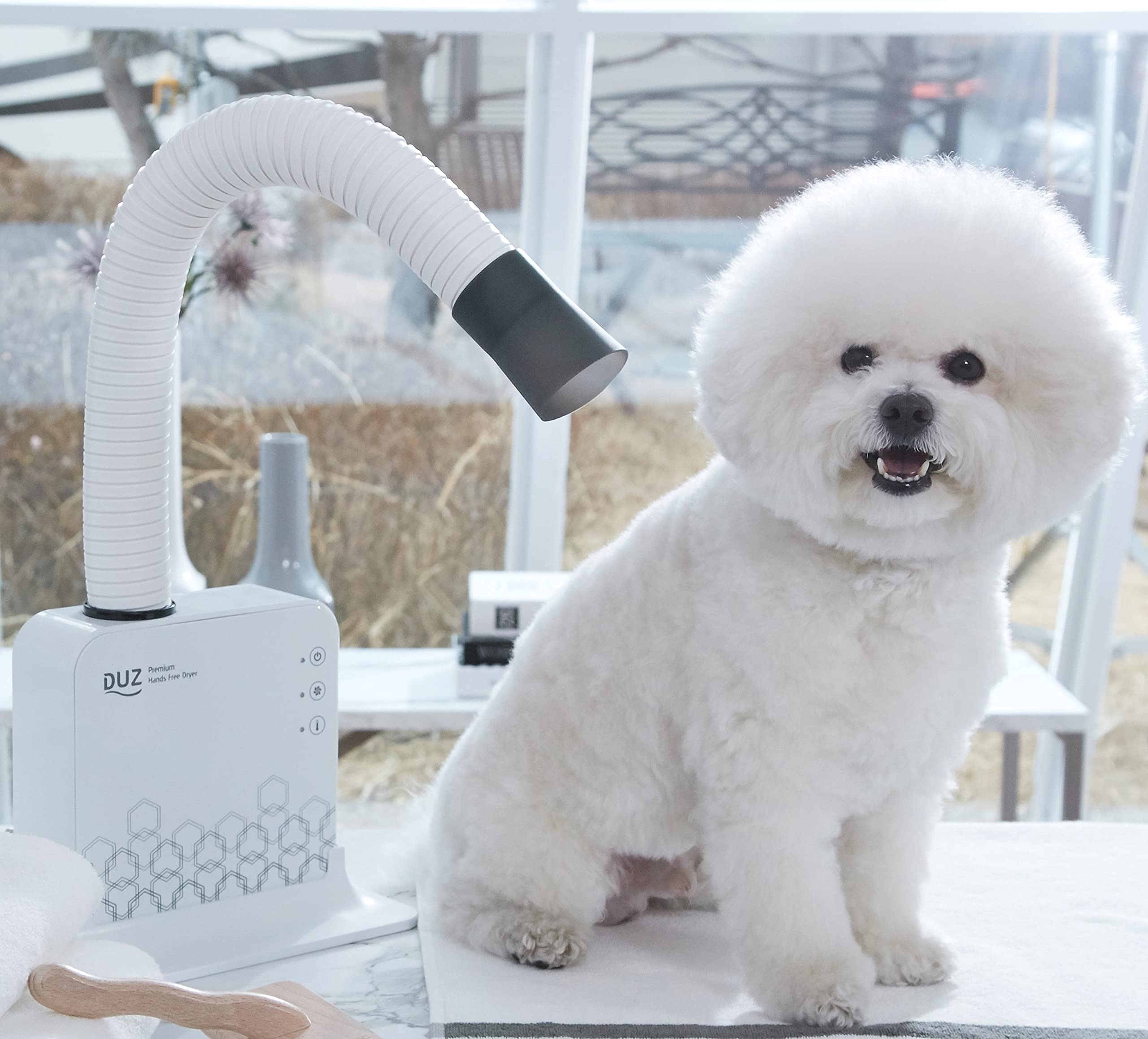 DUZ V2 Super Quiet Pet Dryer - Low-Noise Dog & Cat Grooming Tool, Medium Size, White, Model iMD-1000T, 1-Year Warranty