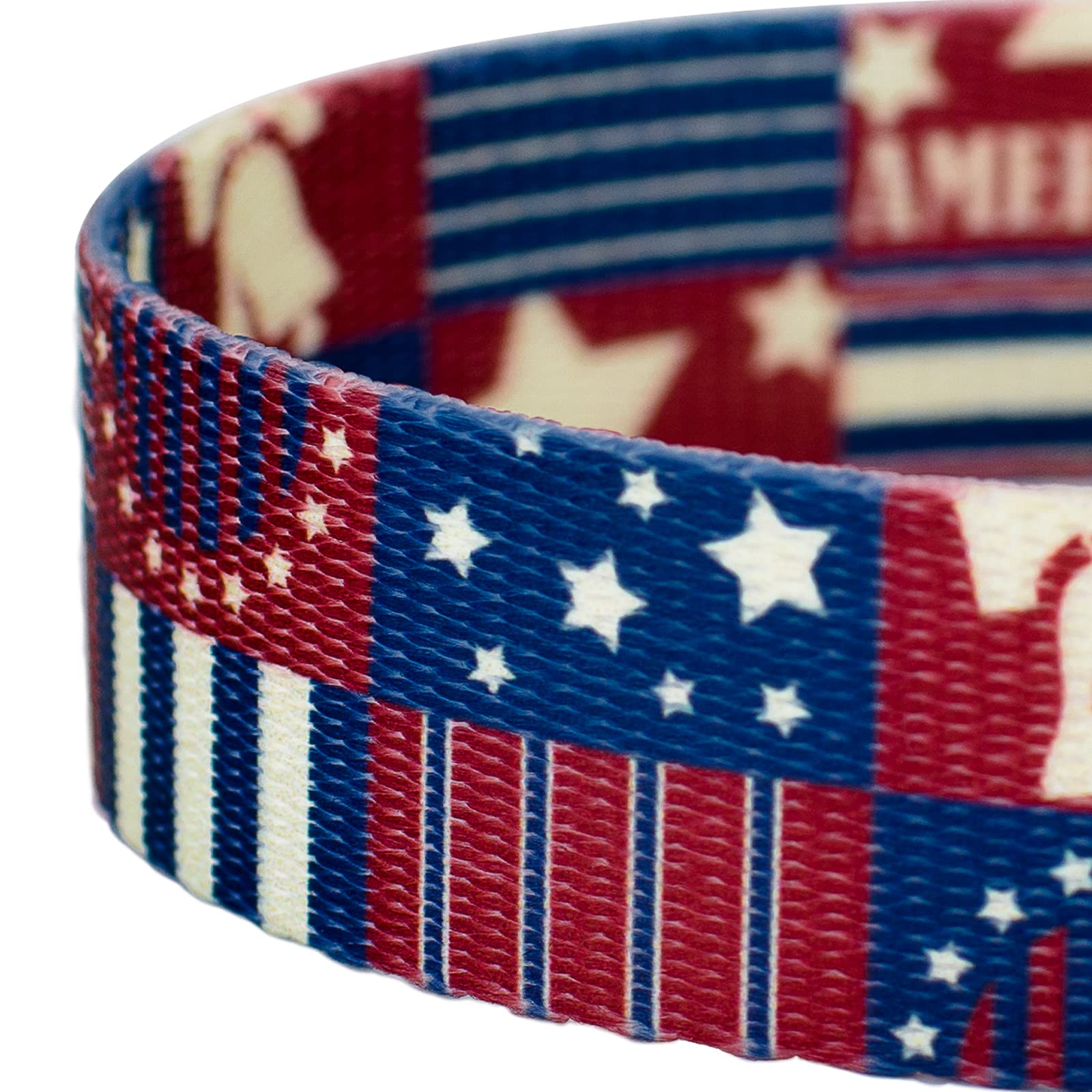 Country Brook Petz - Spirit of 76 Dog Leash - American Pride Collection Featuring Patriotic Designs (4 Foot, 5/8 Inch Wide)